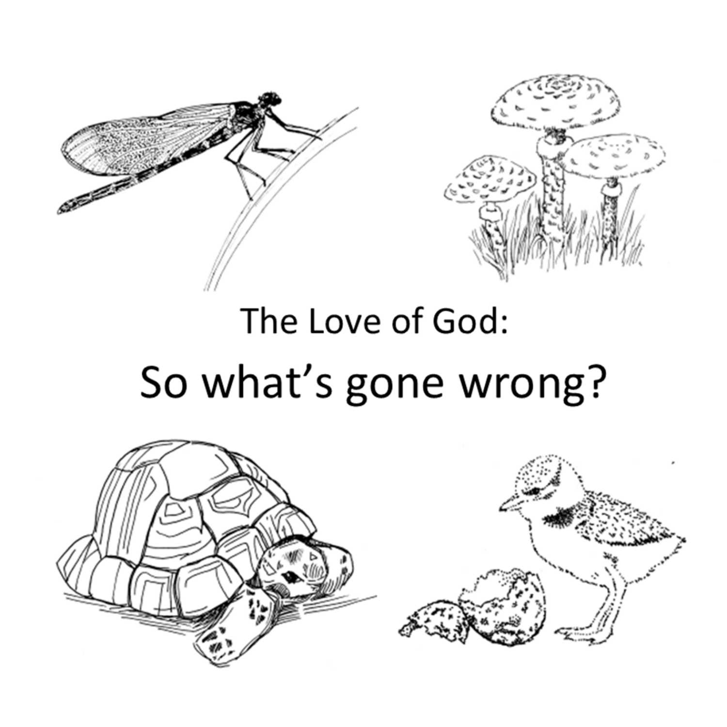 The Love of God