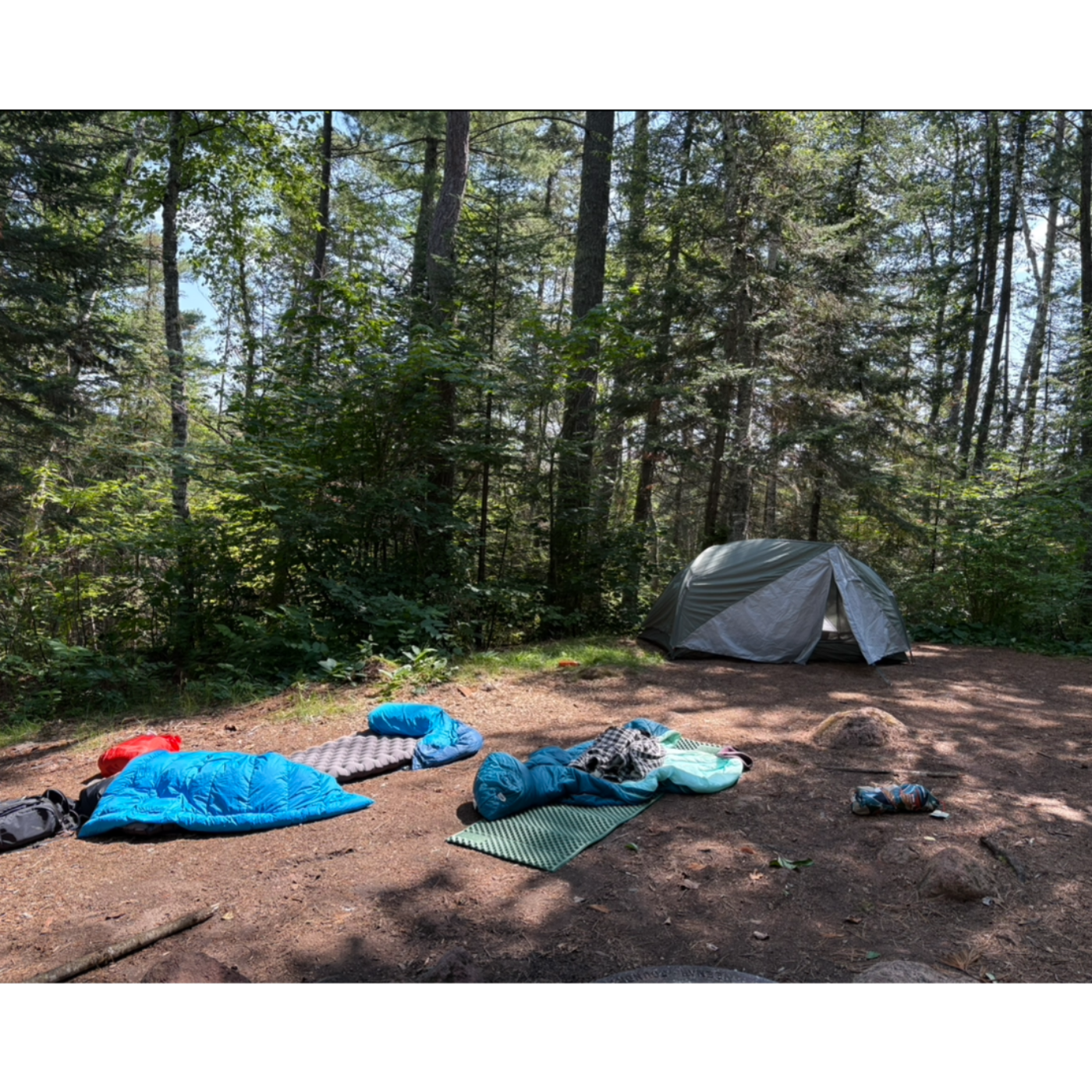 The Lowdown Underground