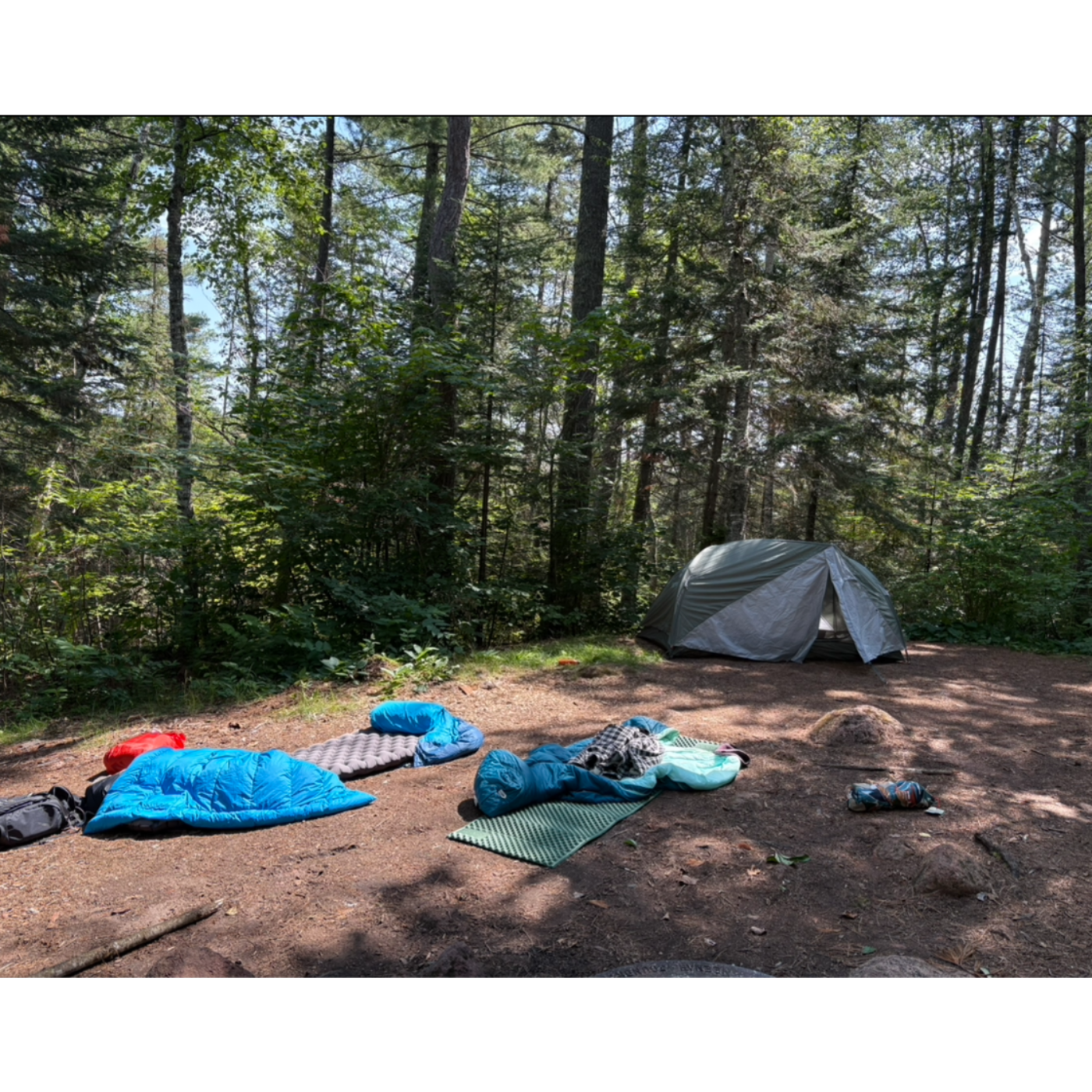 The Lowdown Underground