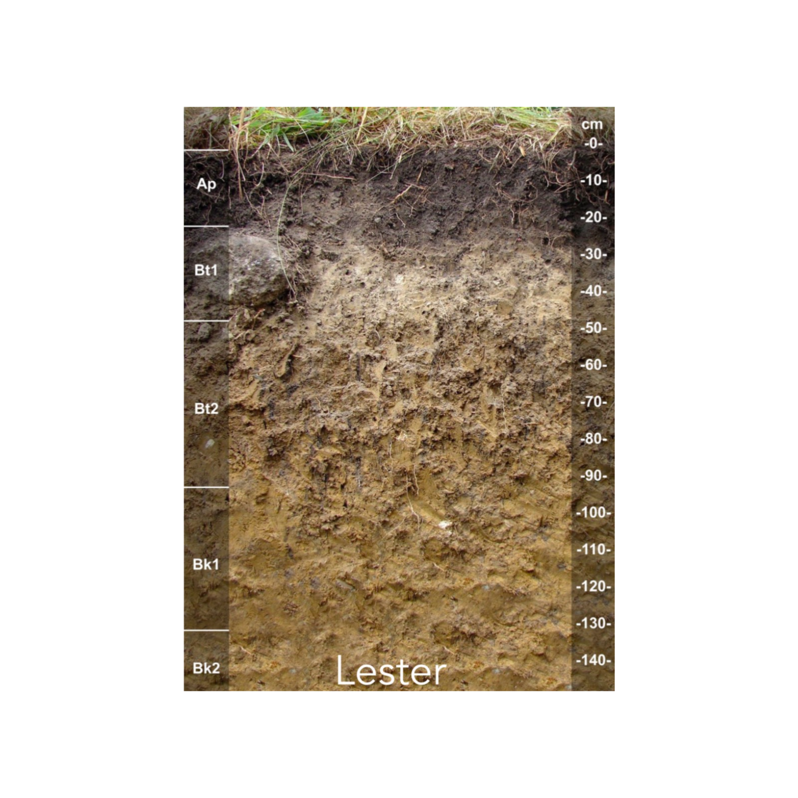 The Lowdown Underground