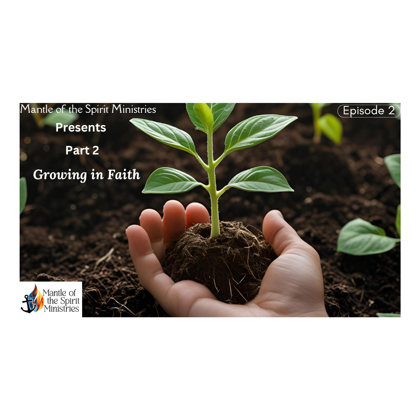 Growing Seeds of Faith /  Part 2 / Grow the Seed episode artwork