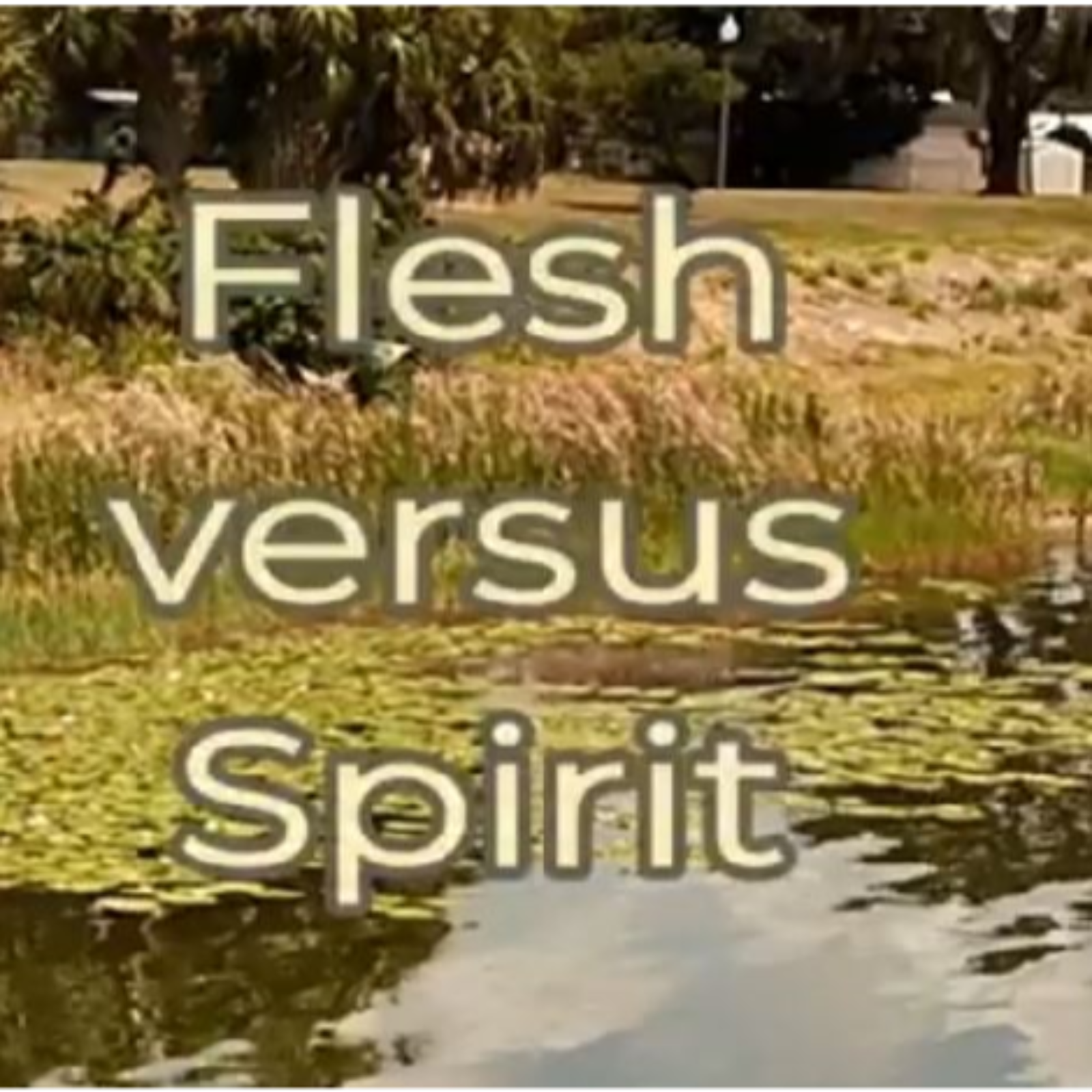 Tower Lakes Chapel - Weekly Message