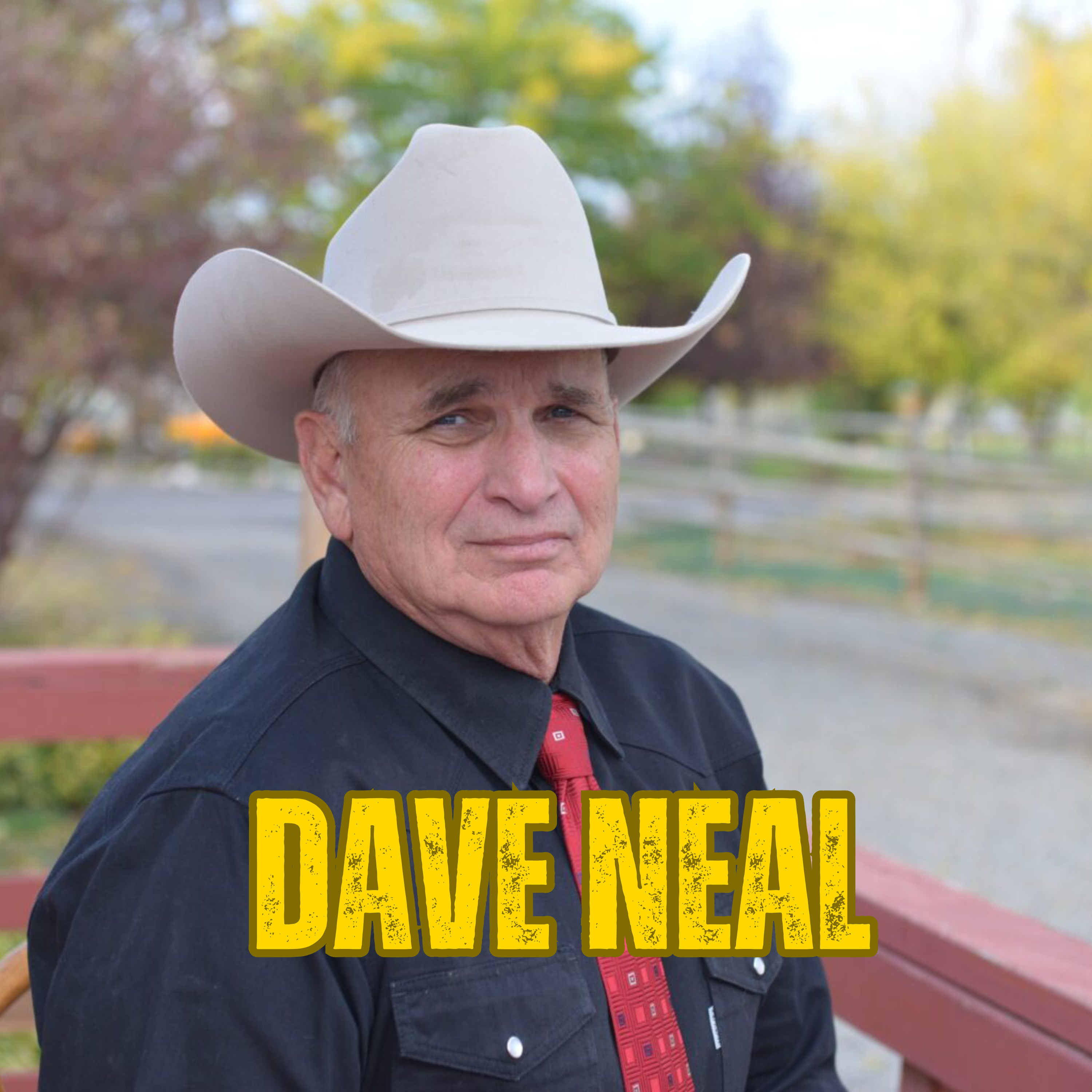 Captain Dave Neal Retired episode artwork