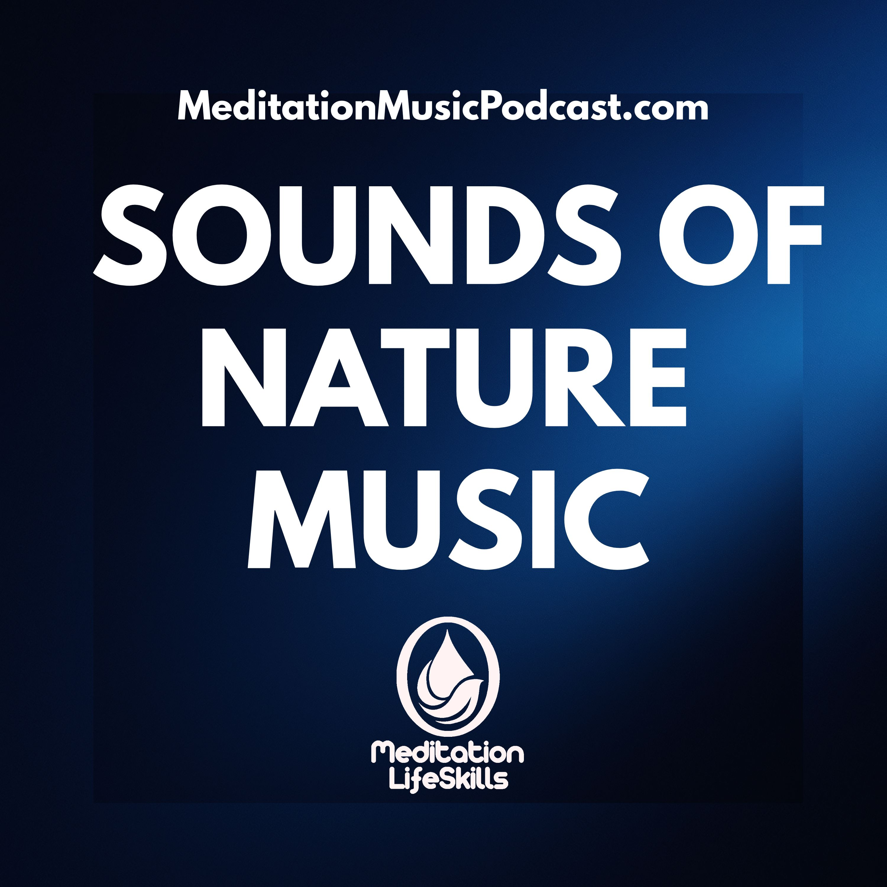 THUNDER & RAIN | Rainstorm Sounds to Unwind, Focus, or Slee