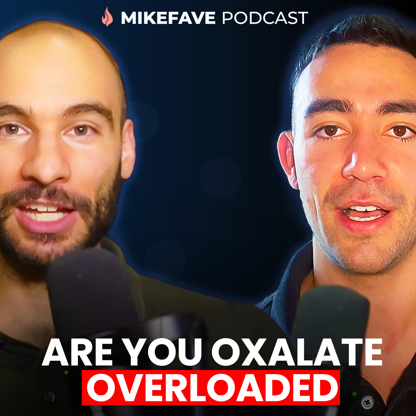 The Mike Fave Podcast