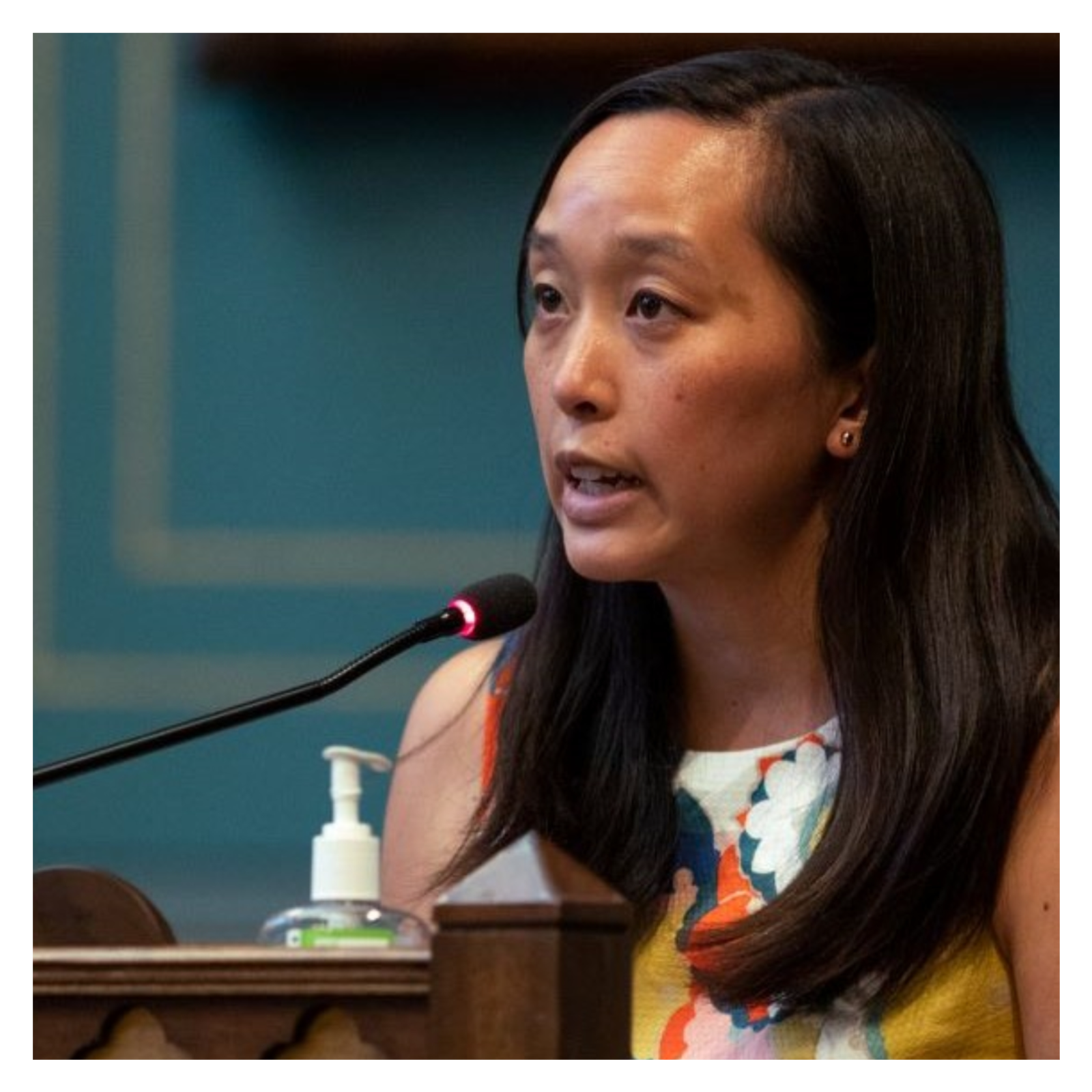  Michigan Sen. Chang: 'These are our neighbors' being deported episode artwork