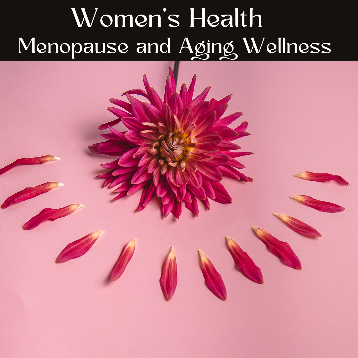 Health and Wellness
