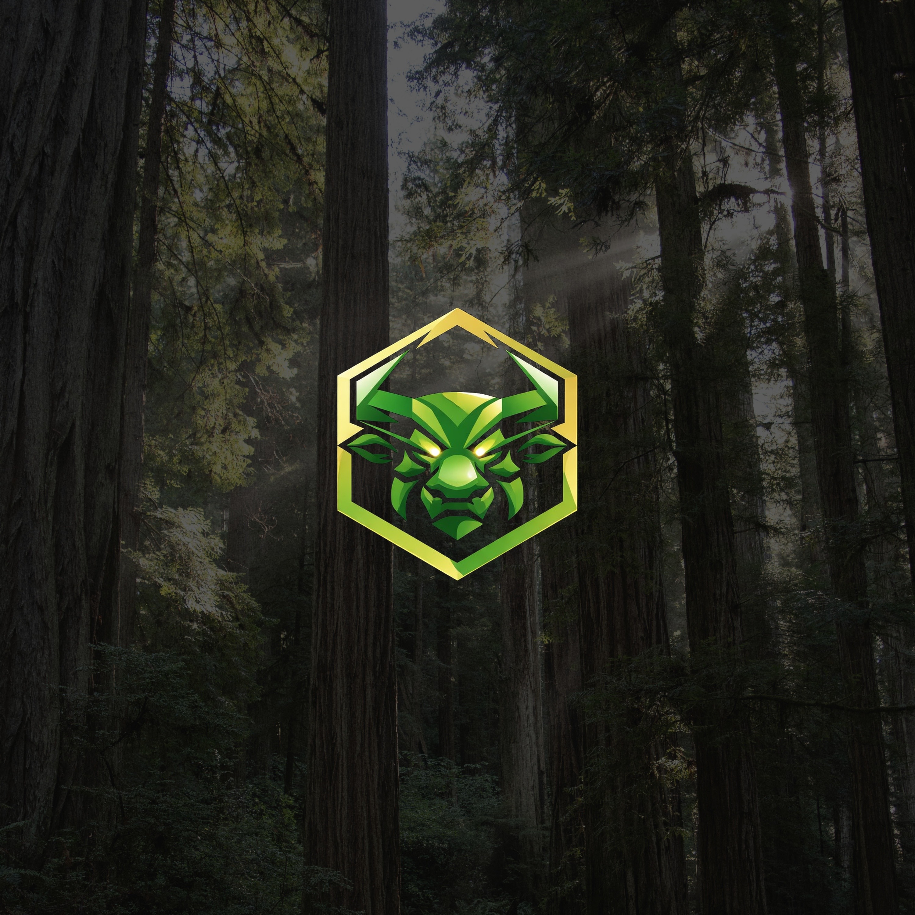 The Moolaah Report
