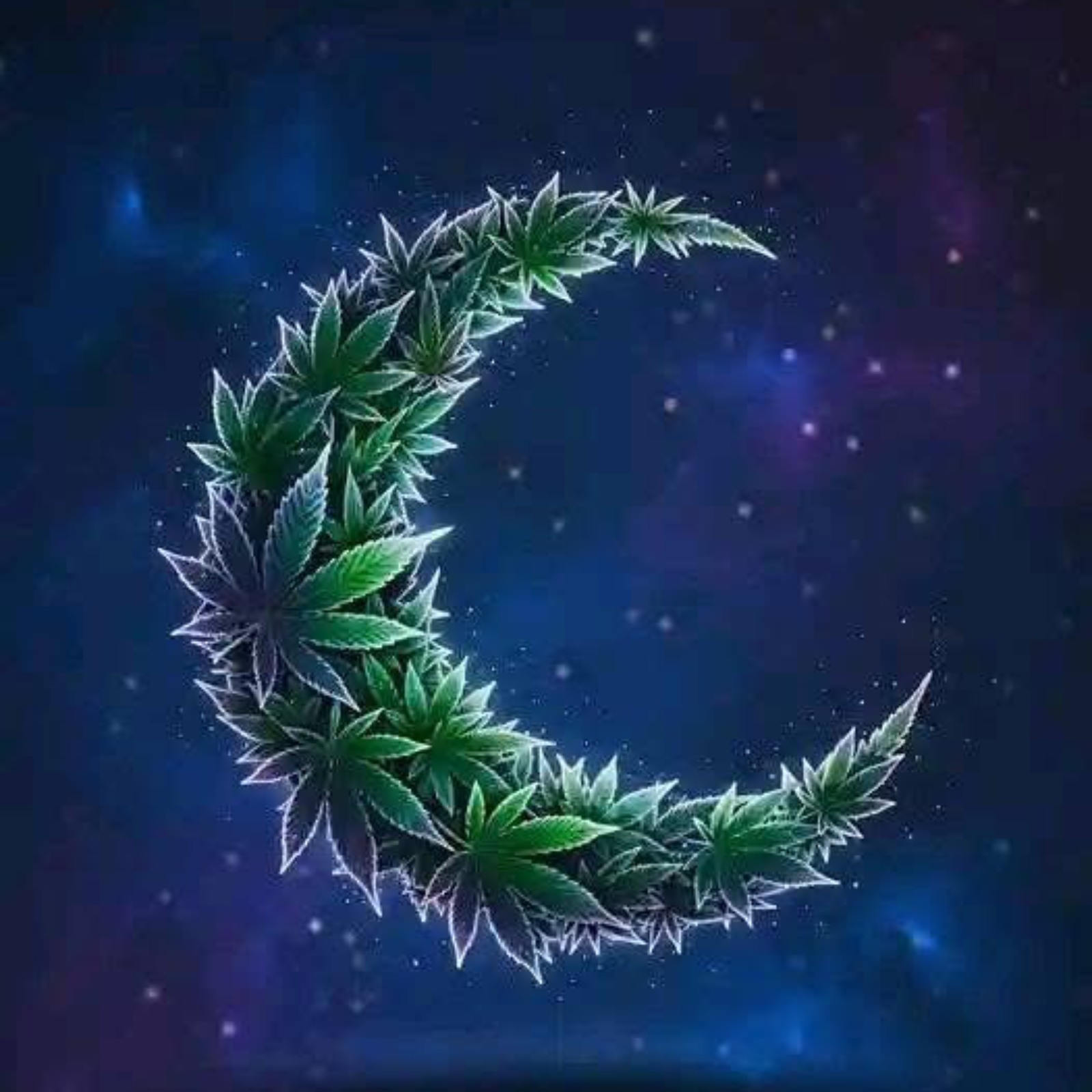 The Evolution and Challenges of Marijuana Legalisation episode artwork
