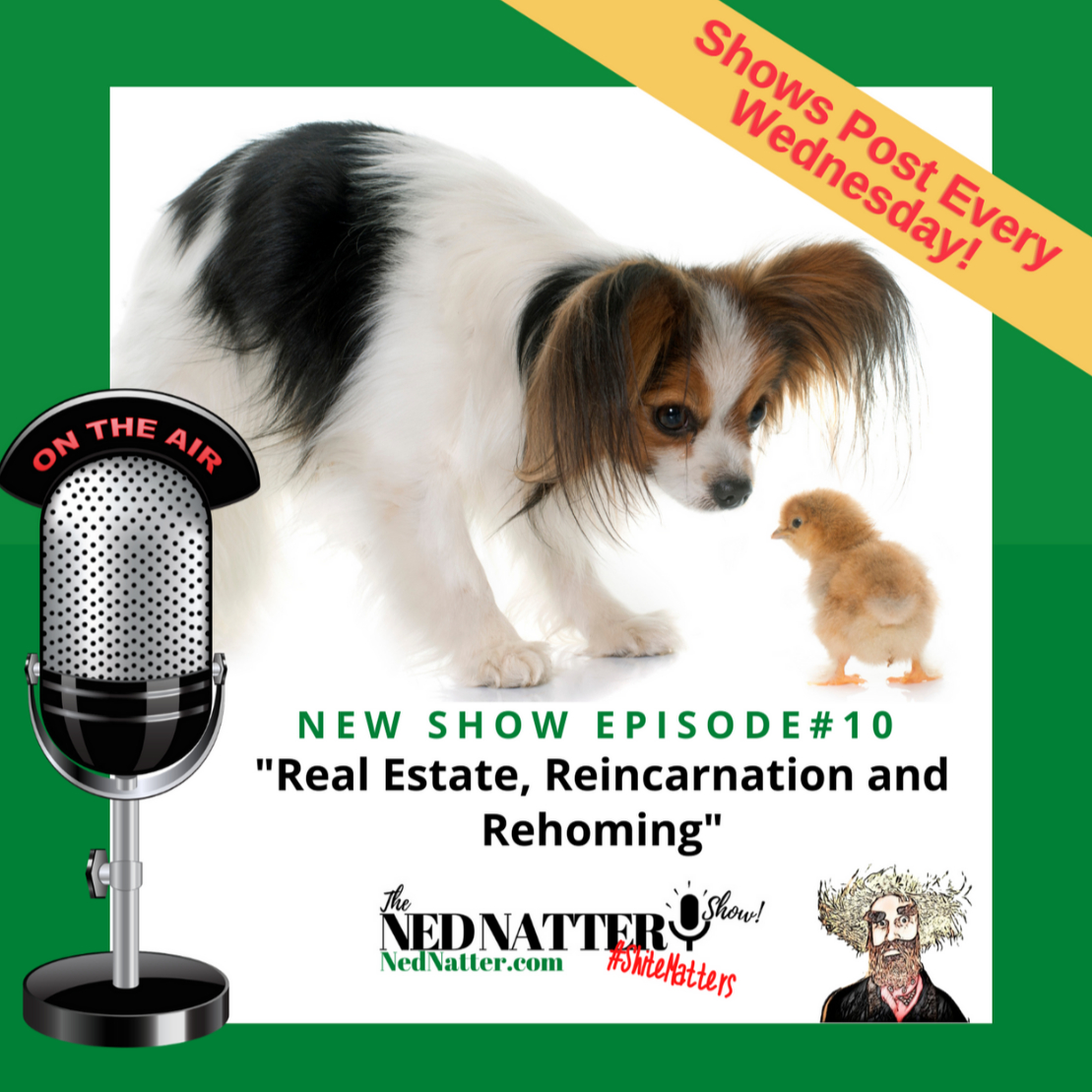 The Ned Natter Show