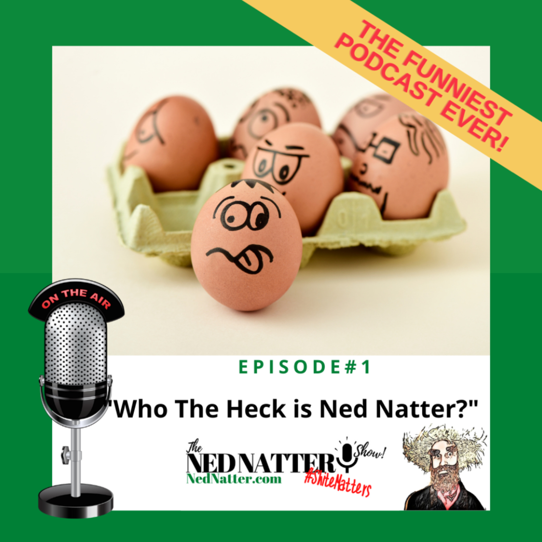 The Ned Natter Show