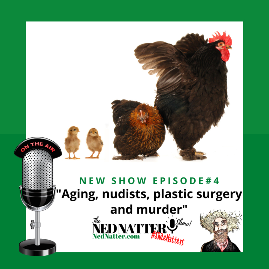 The Ned Natter Show