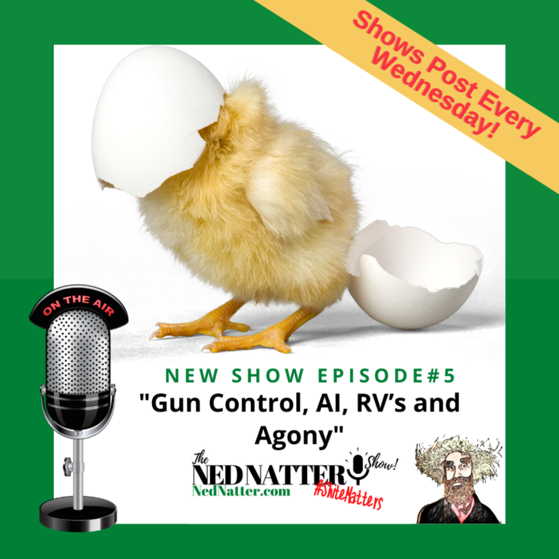 The Ned Natter Show