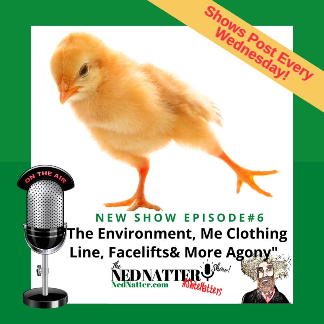 The Ned Natter Show