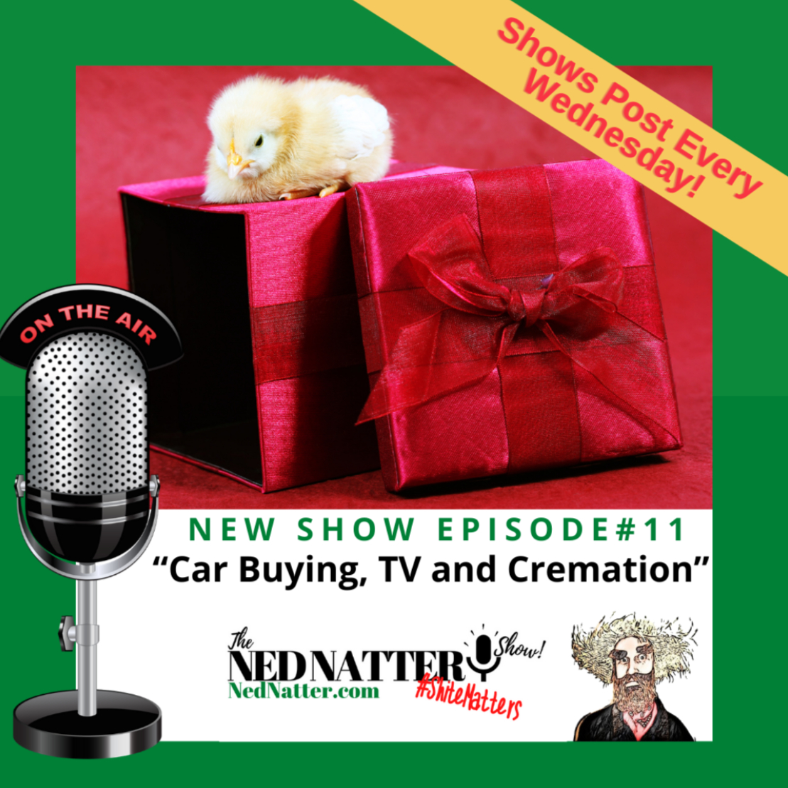 The Ned Natter Show