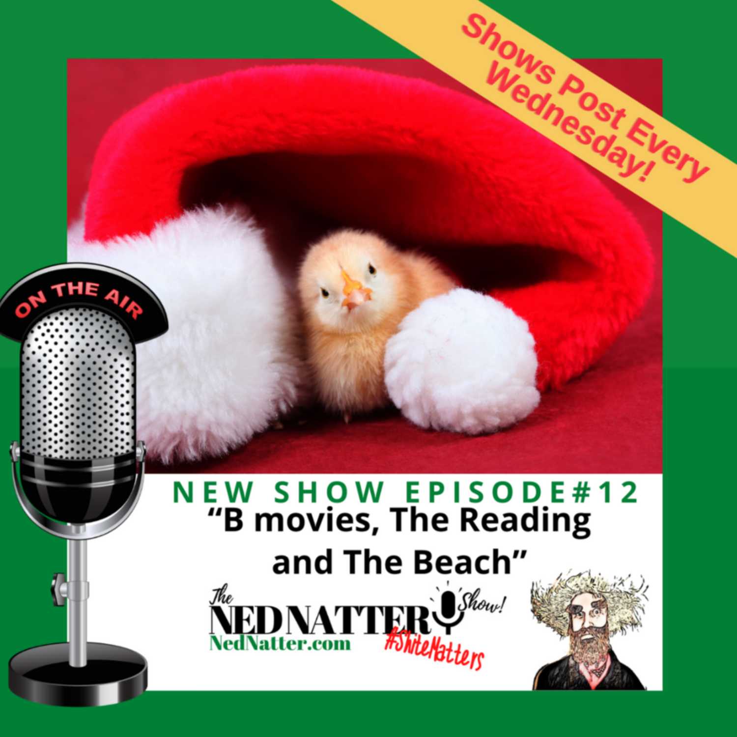 The Ned Natter Show