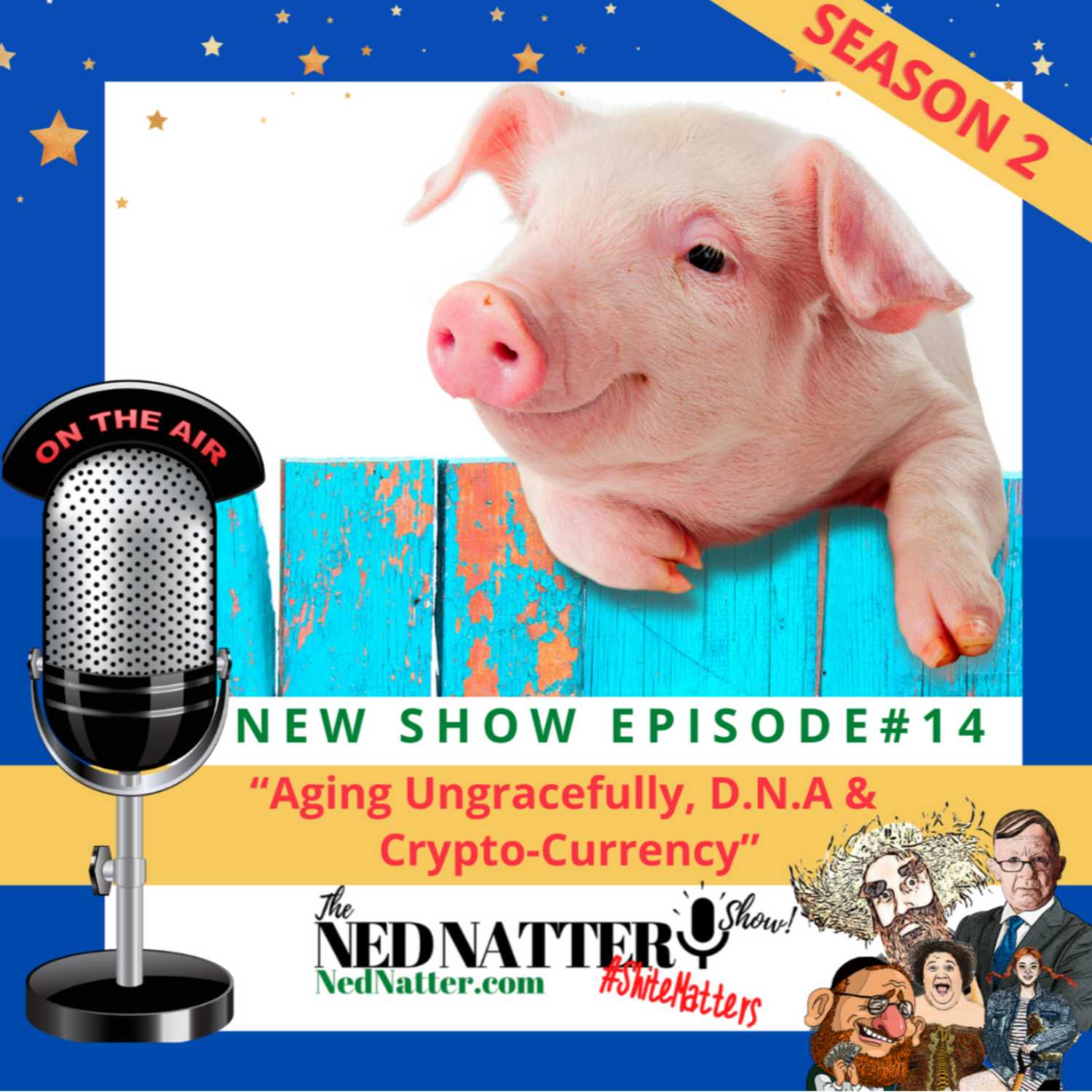 The Ned Natter Show