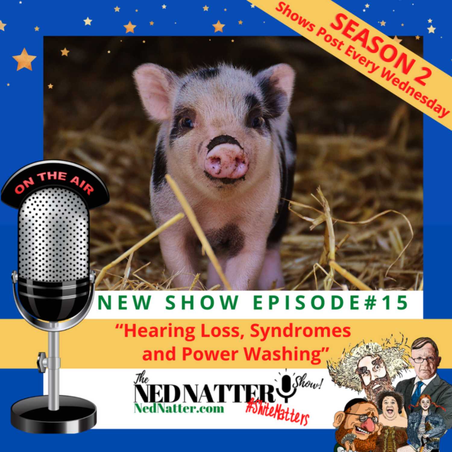 The Ned Natter Show