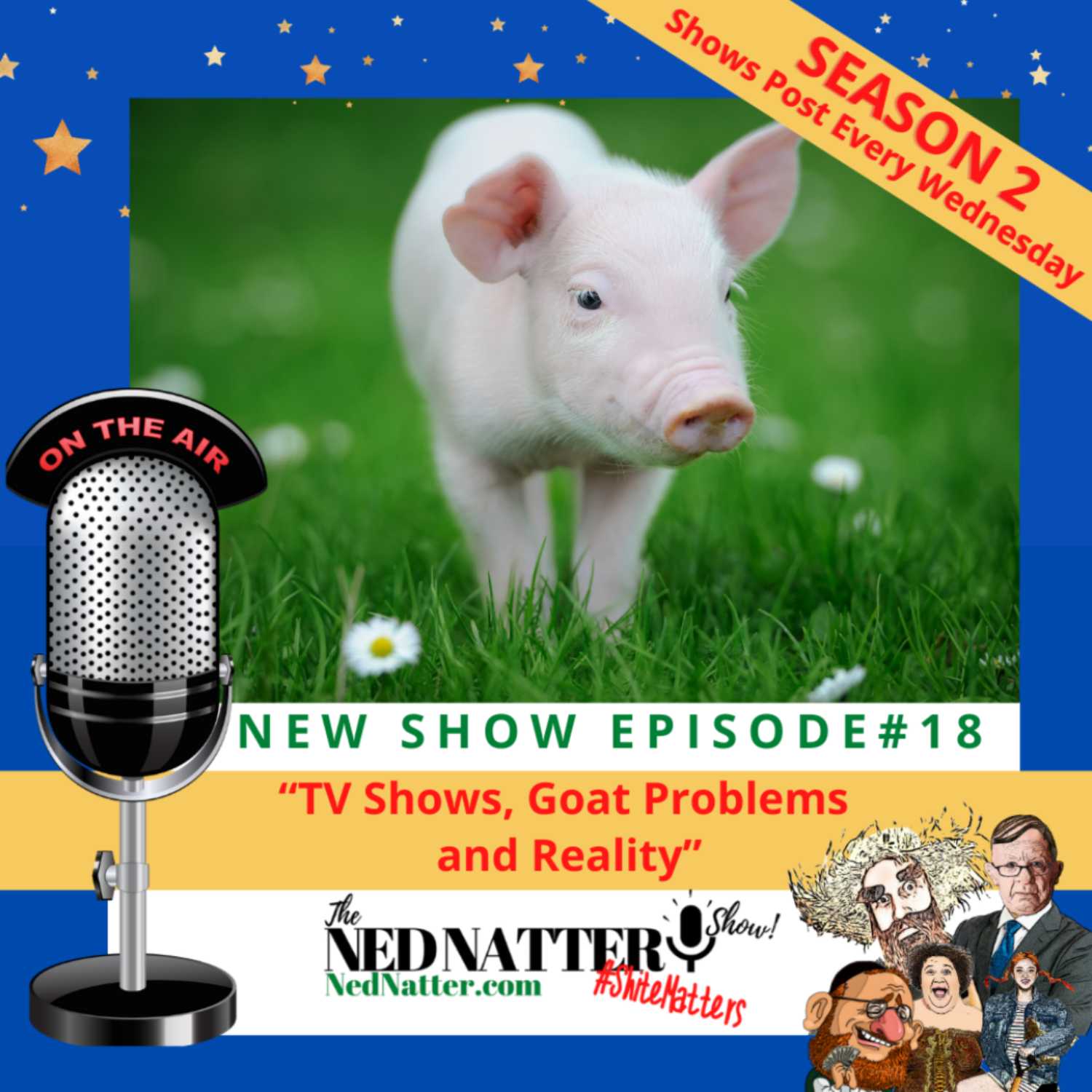 The Ned Natter Show