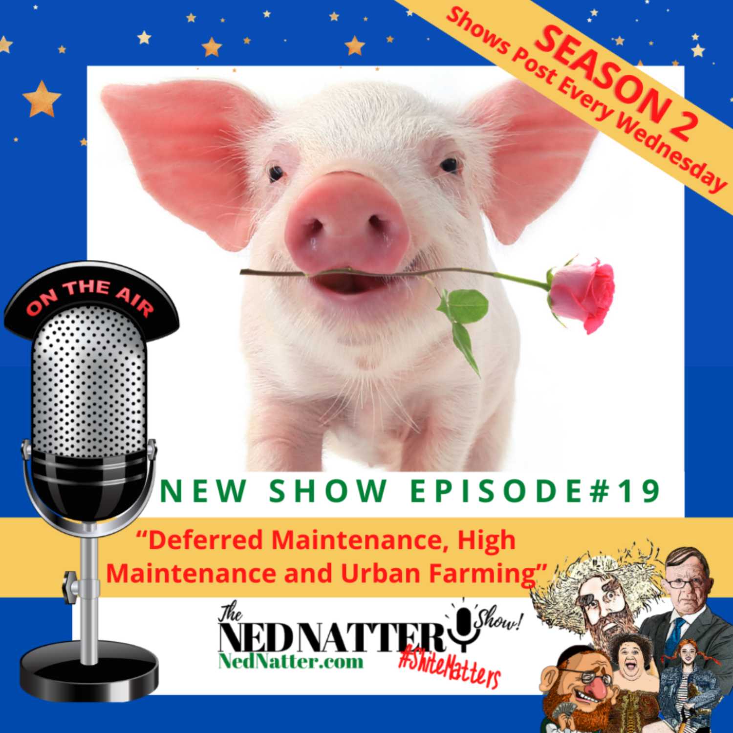 The Ned Natter Show