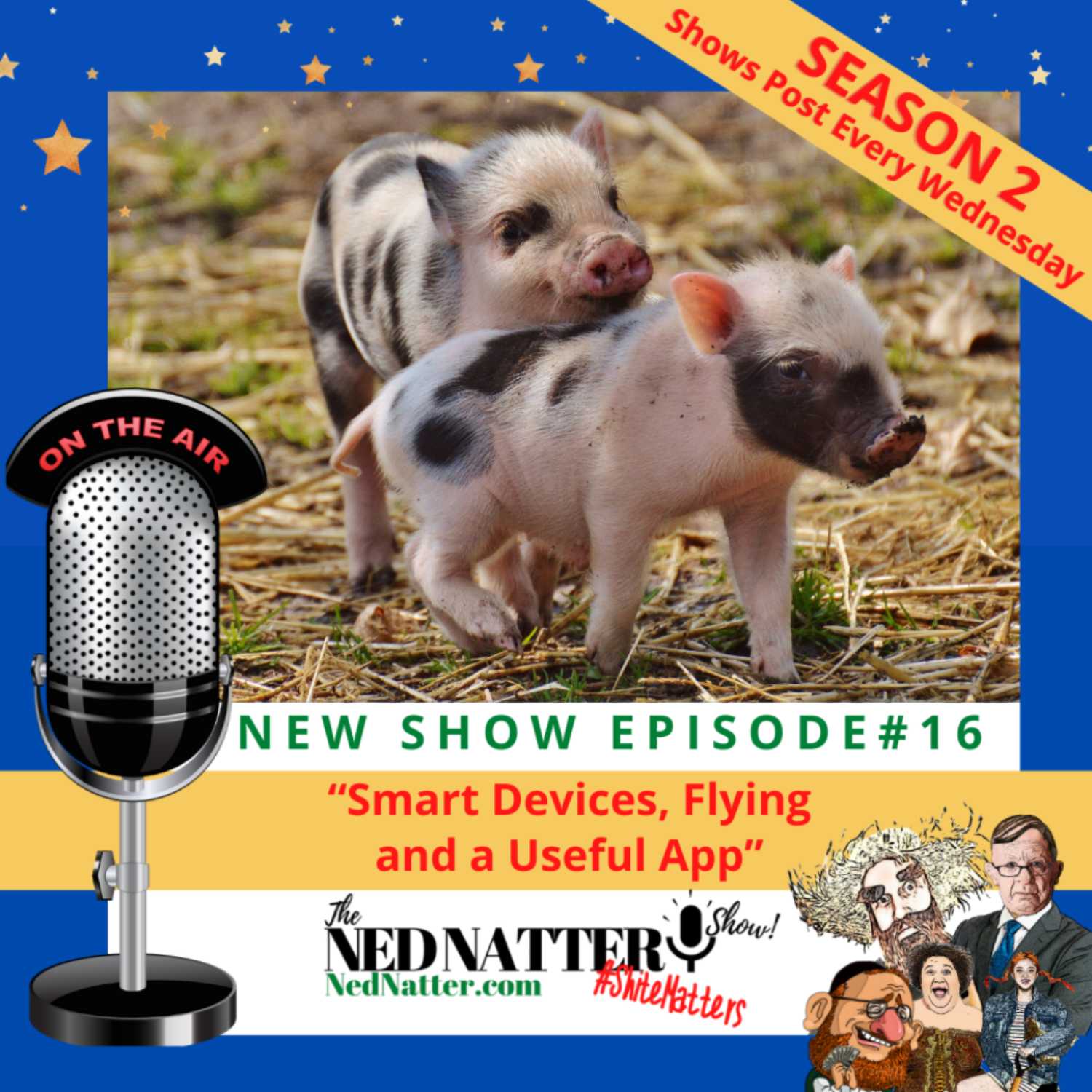 The Ned Natter Show