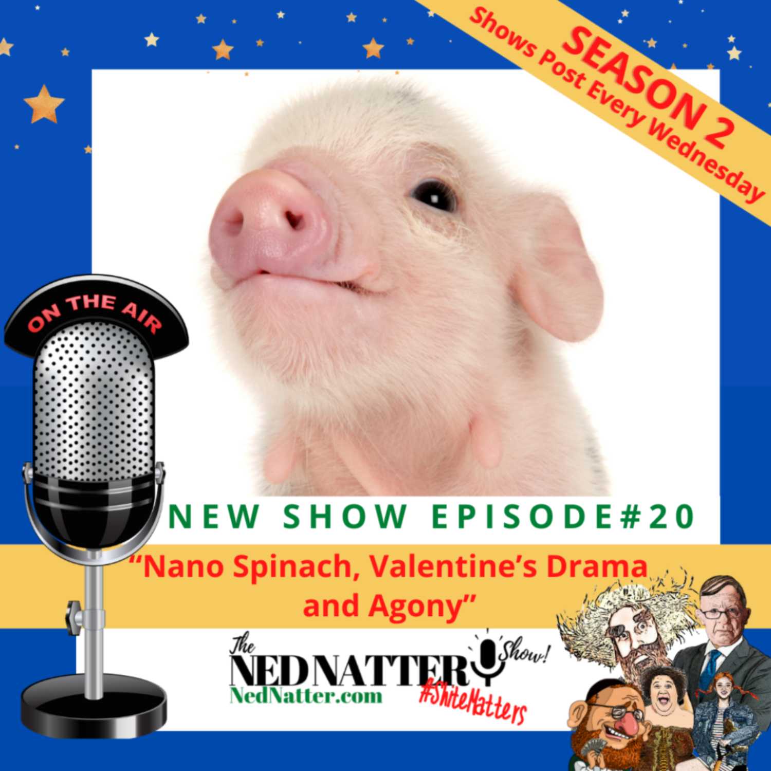 The Ned Natter Show