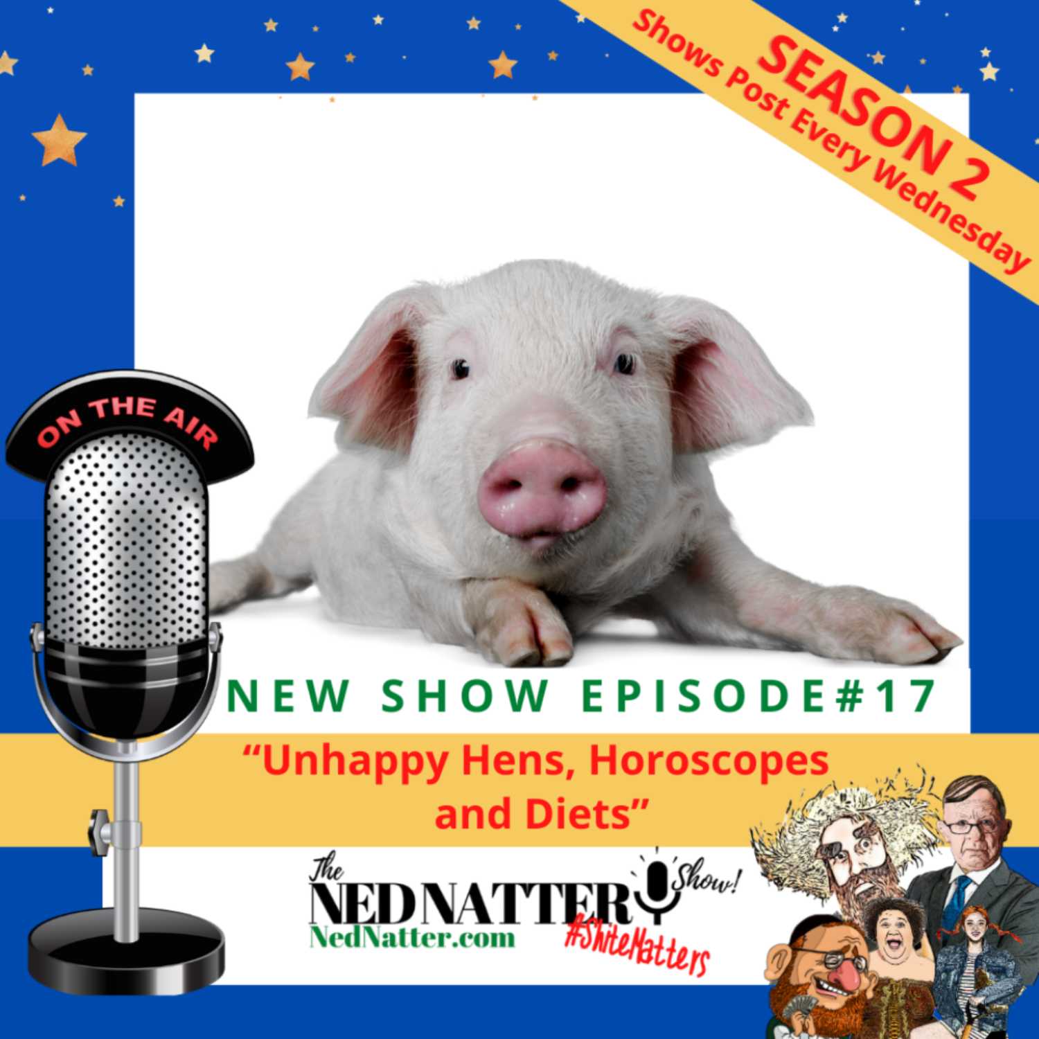 The Ned Natter Show