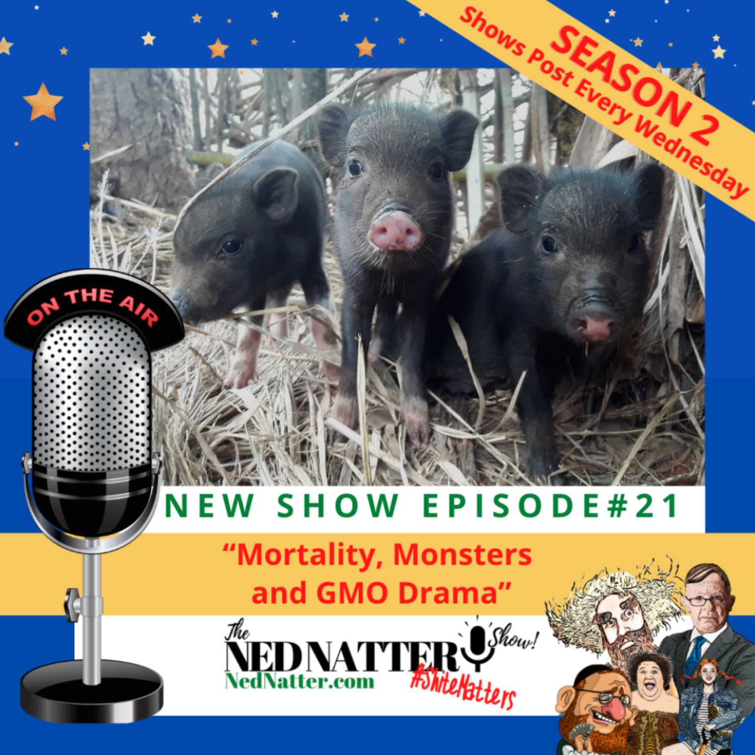 The Ned Natter Show