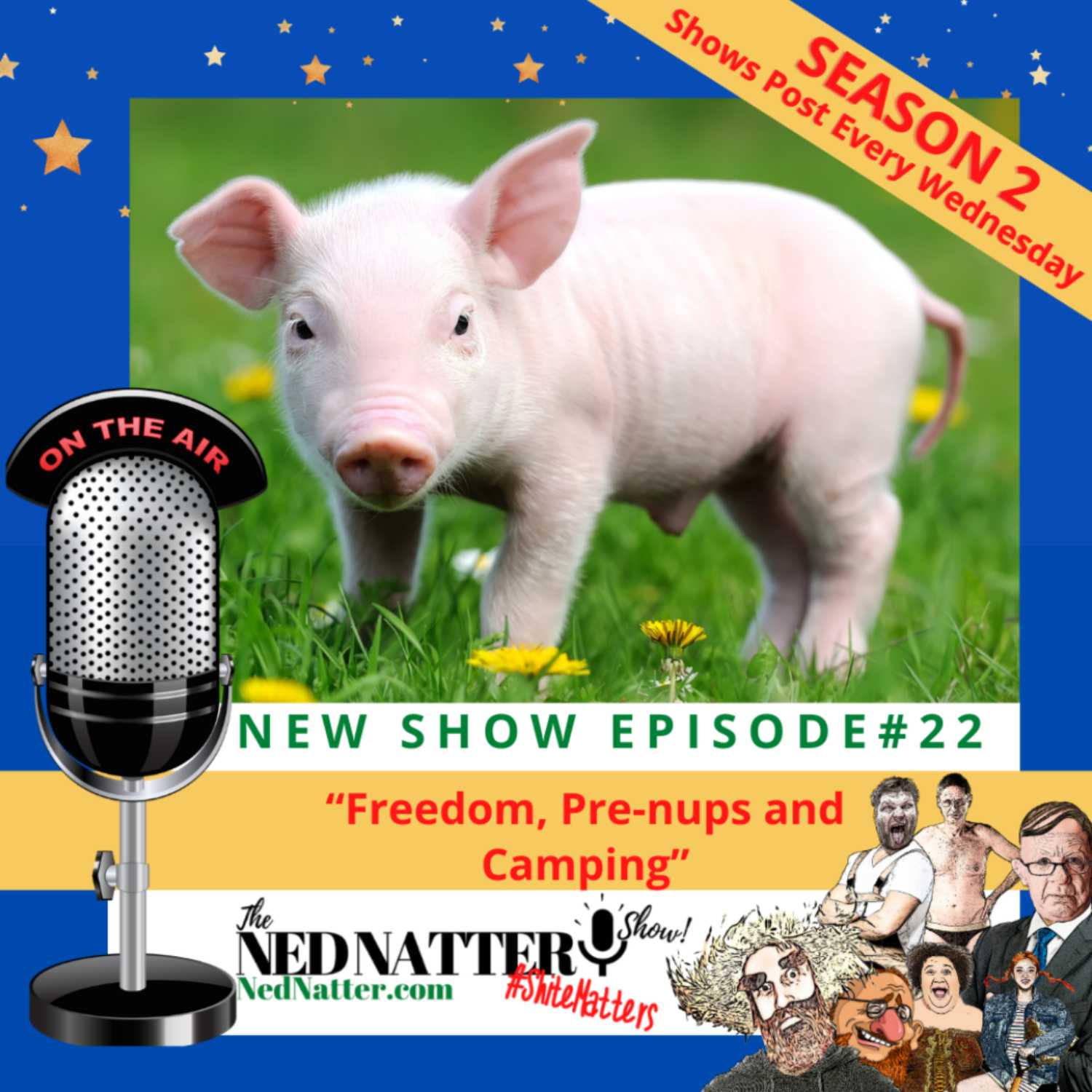 The Ned Natter Show