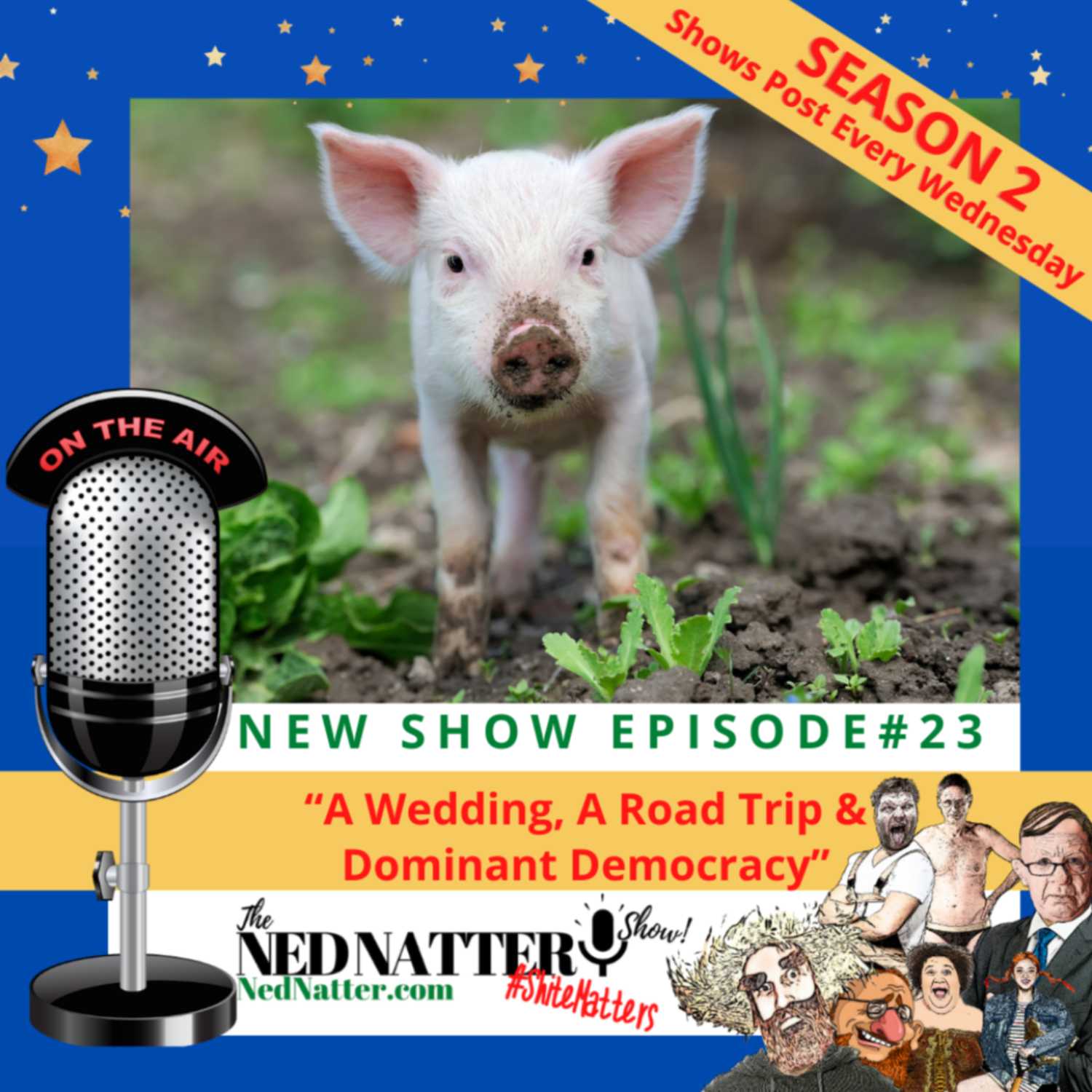 The Ned Natter Show