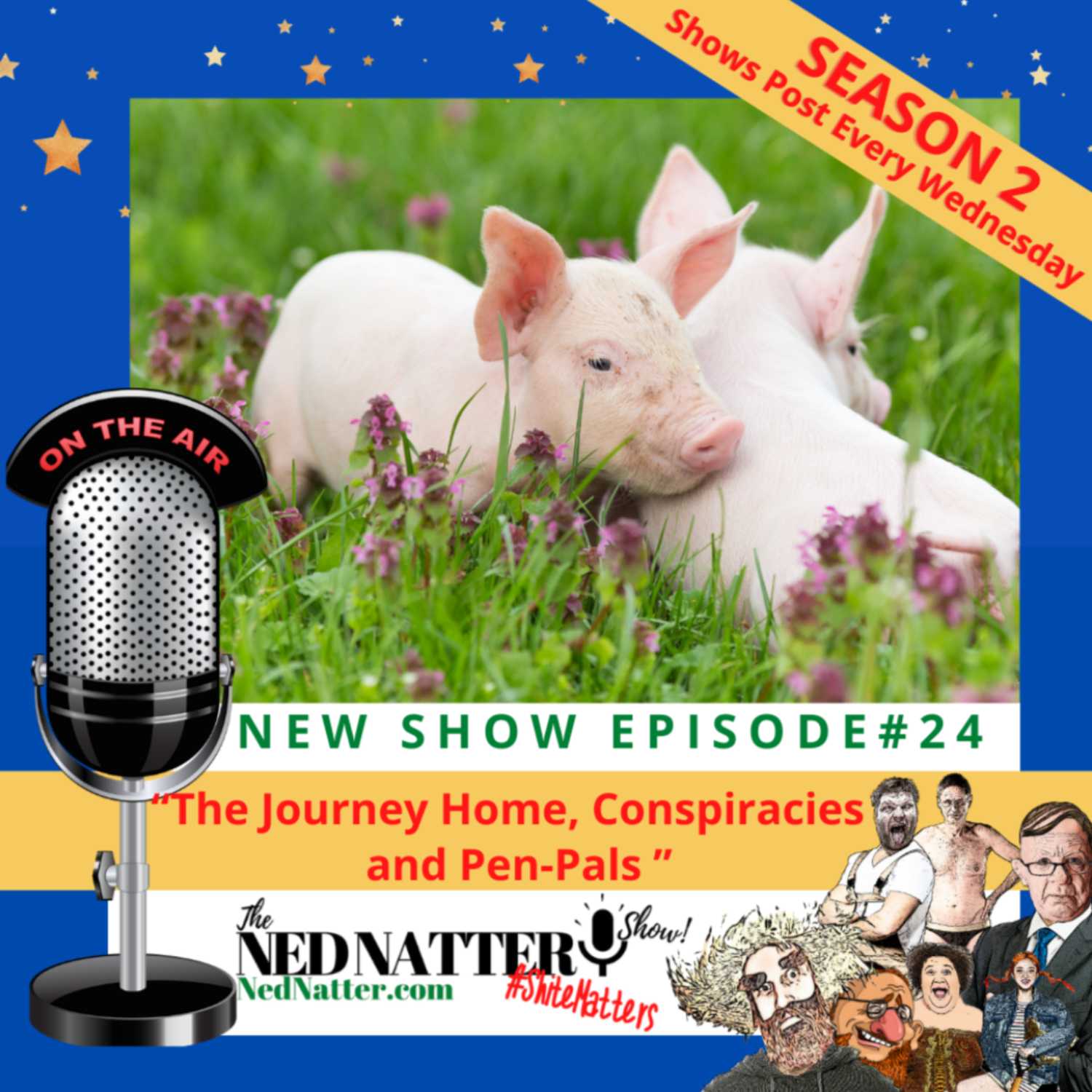 The Ned Natter Show