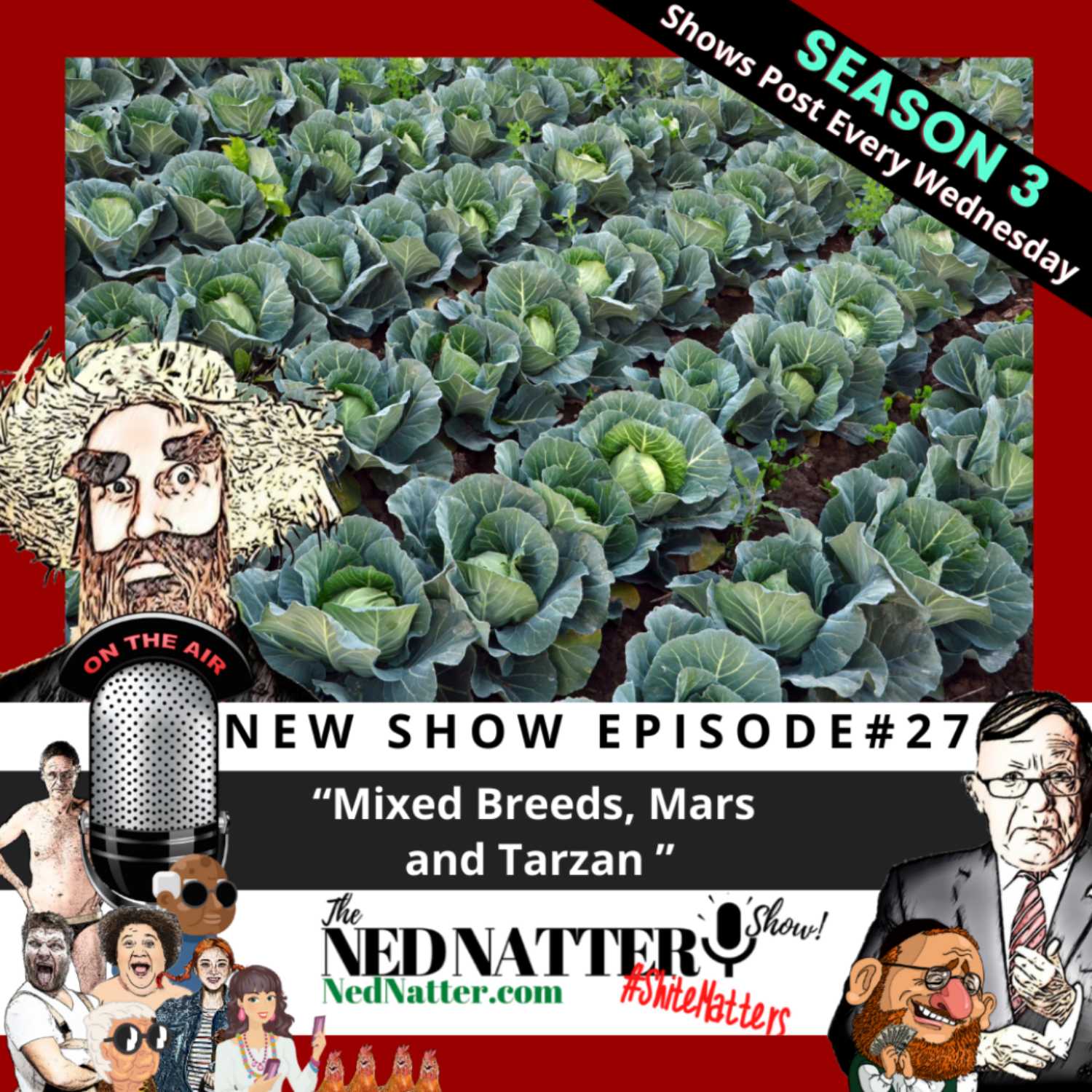 The Ned Natter Show