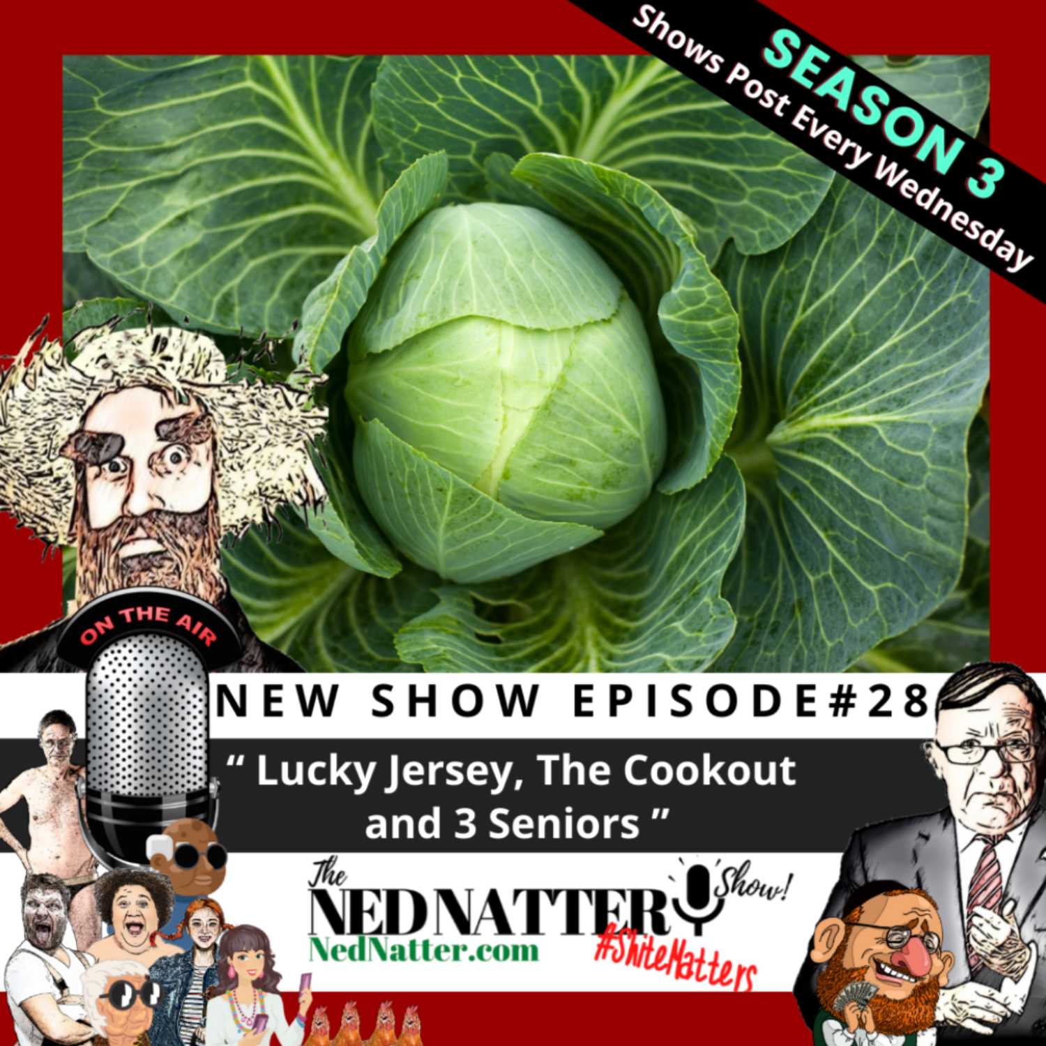 The Ned Natter Show