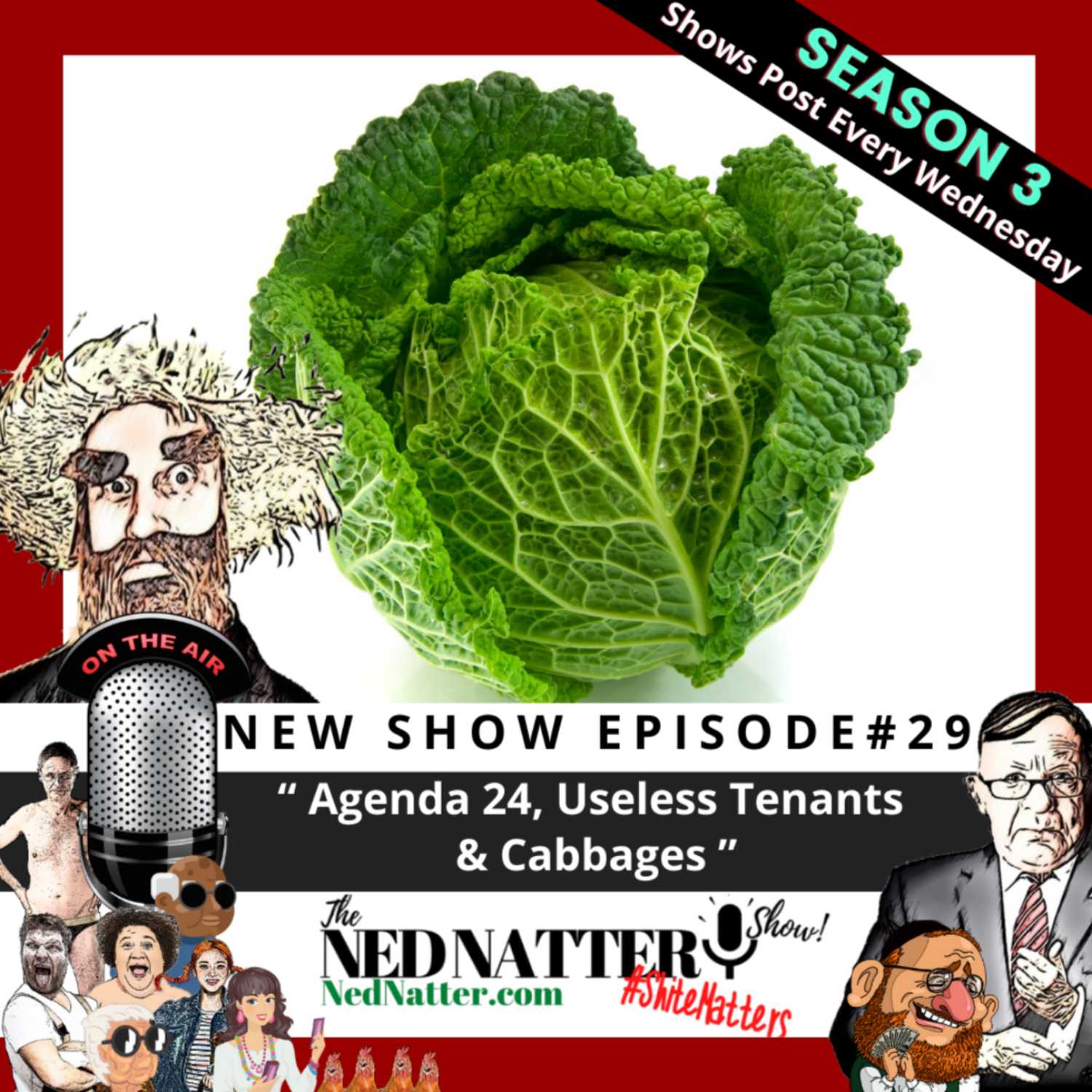 The Ned Natter Show