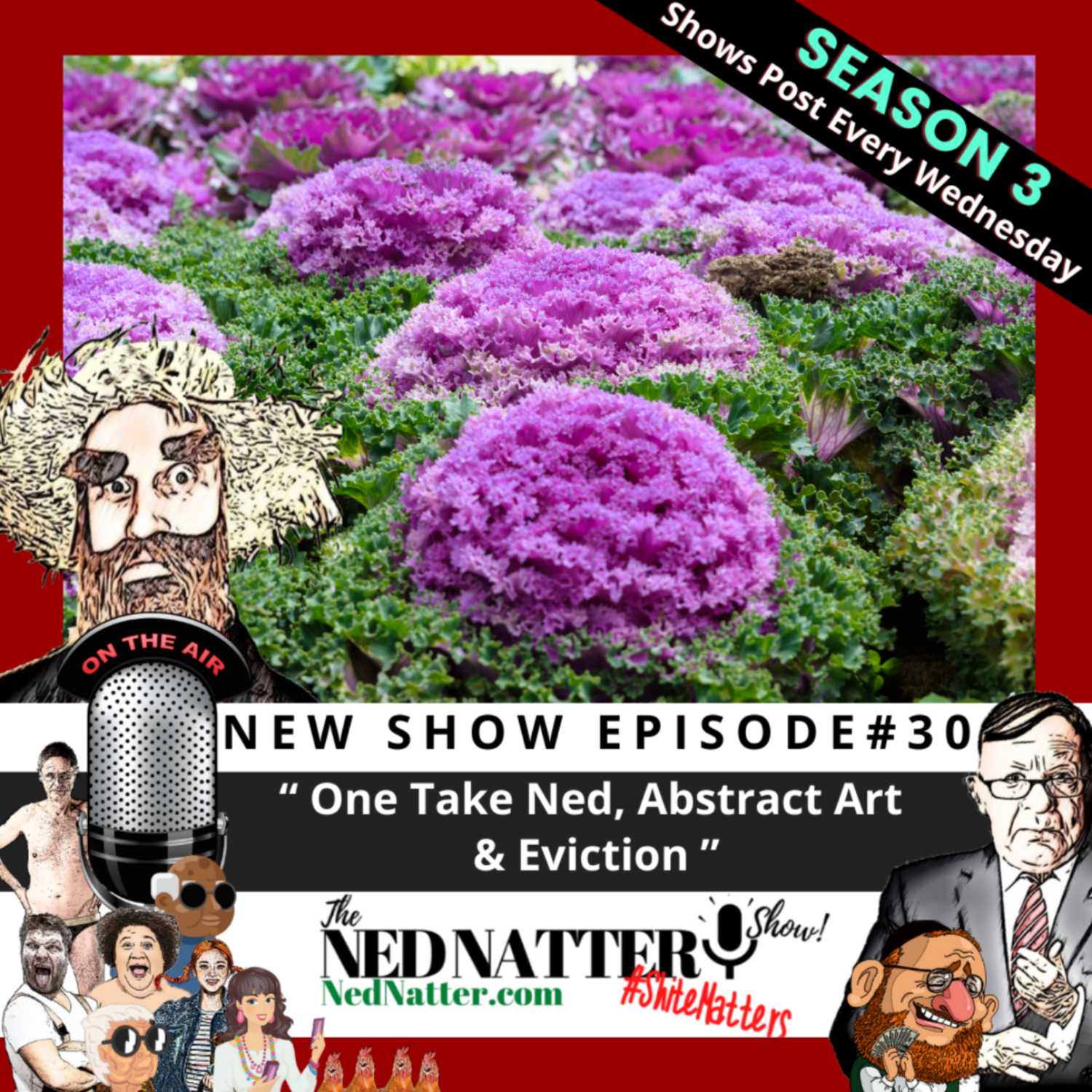 The Ned Natter Show