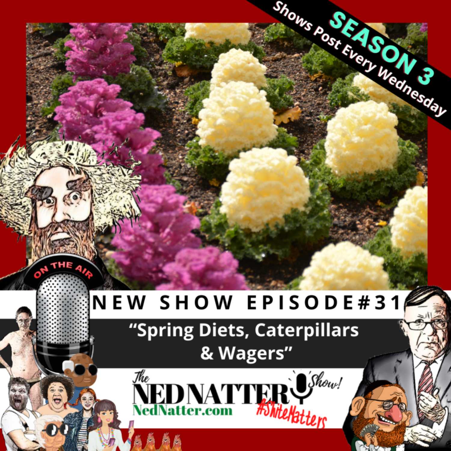 The Ned Natter Show