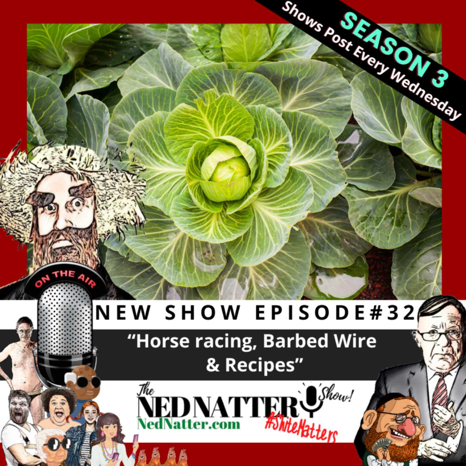 The Ned Natter Show
