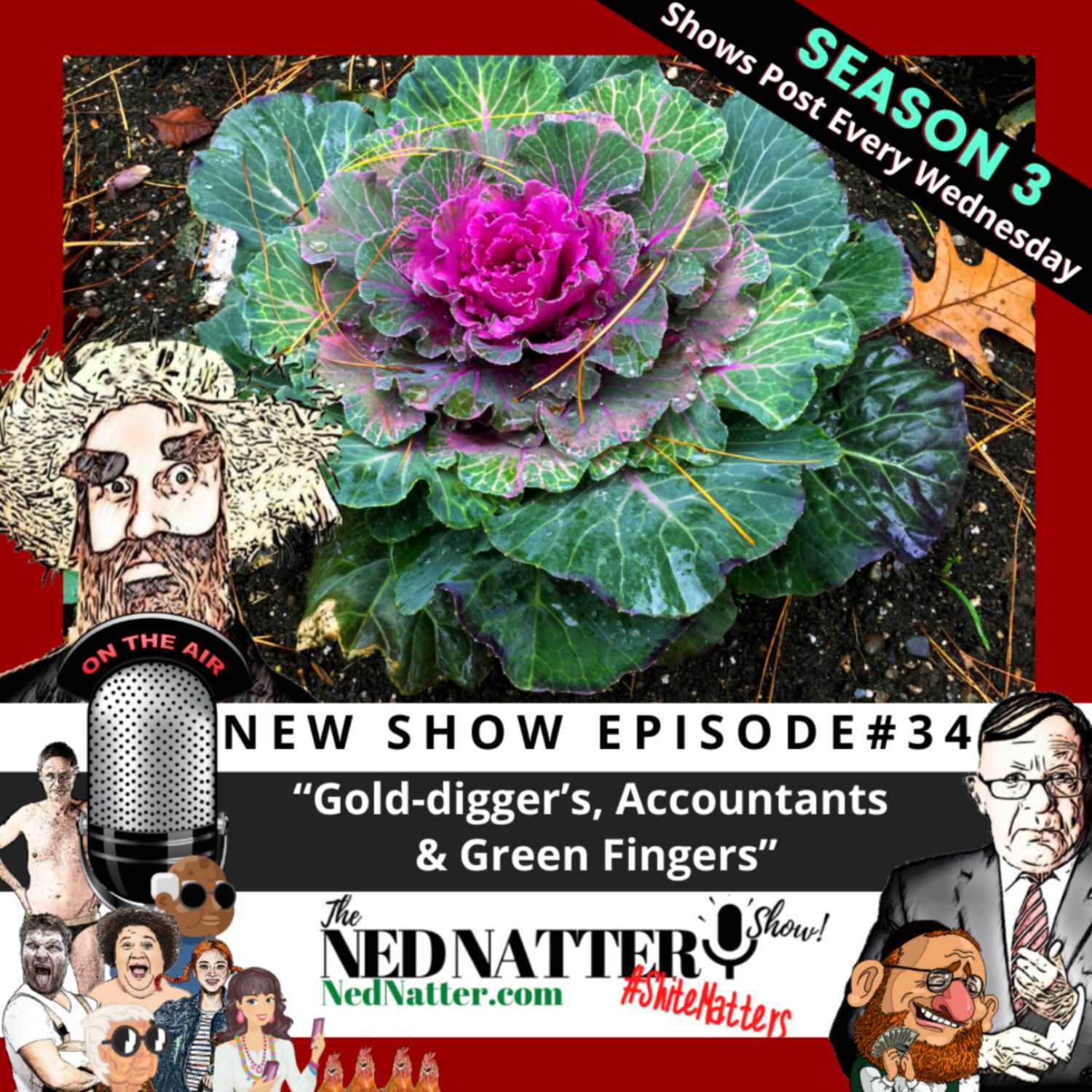 The Ned Natter Show