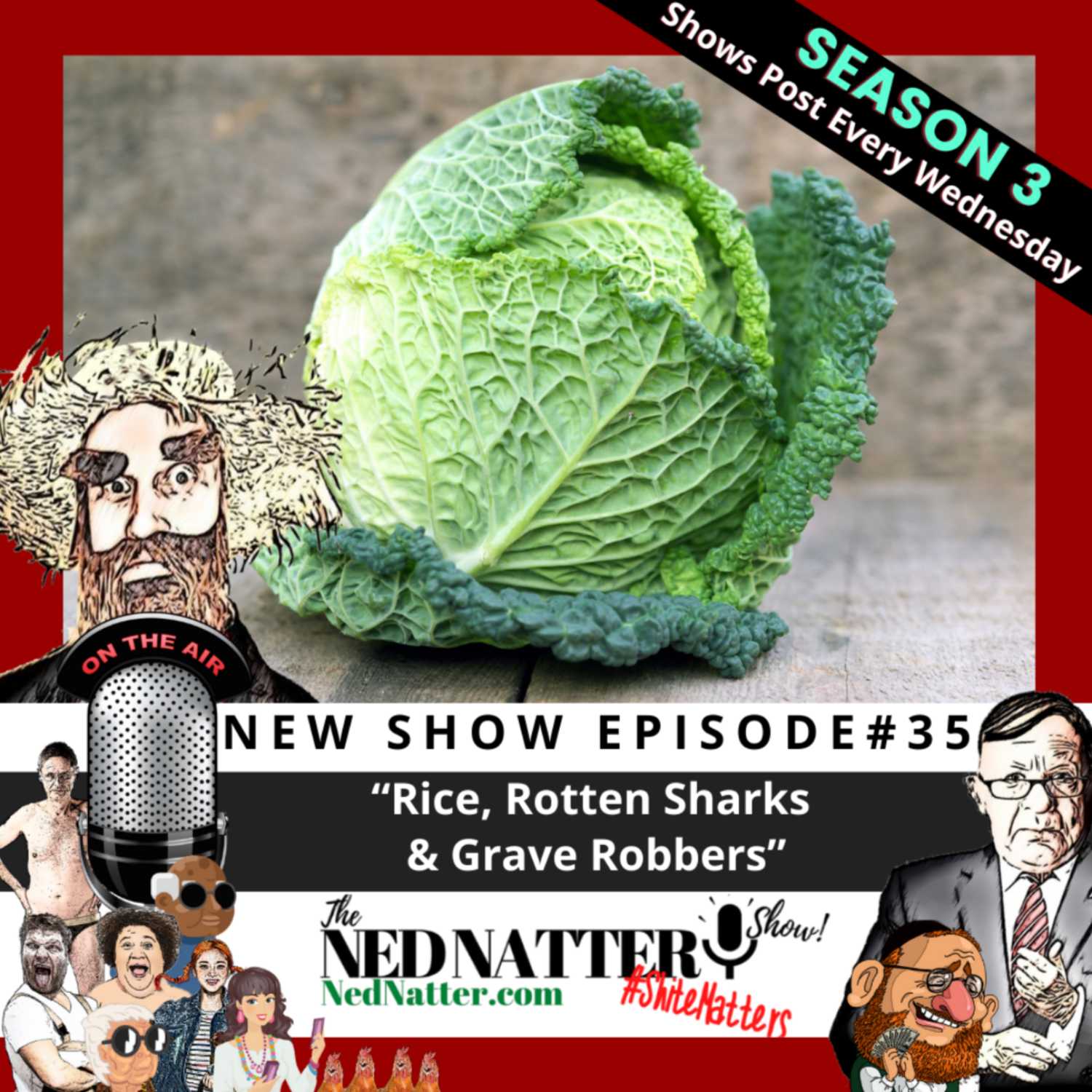The Ned Natter Show