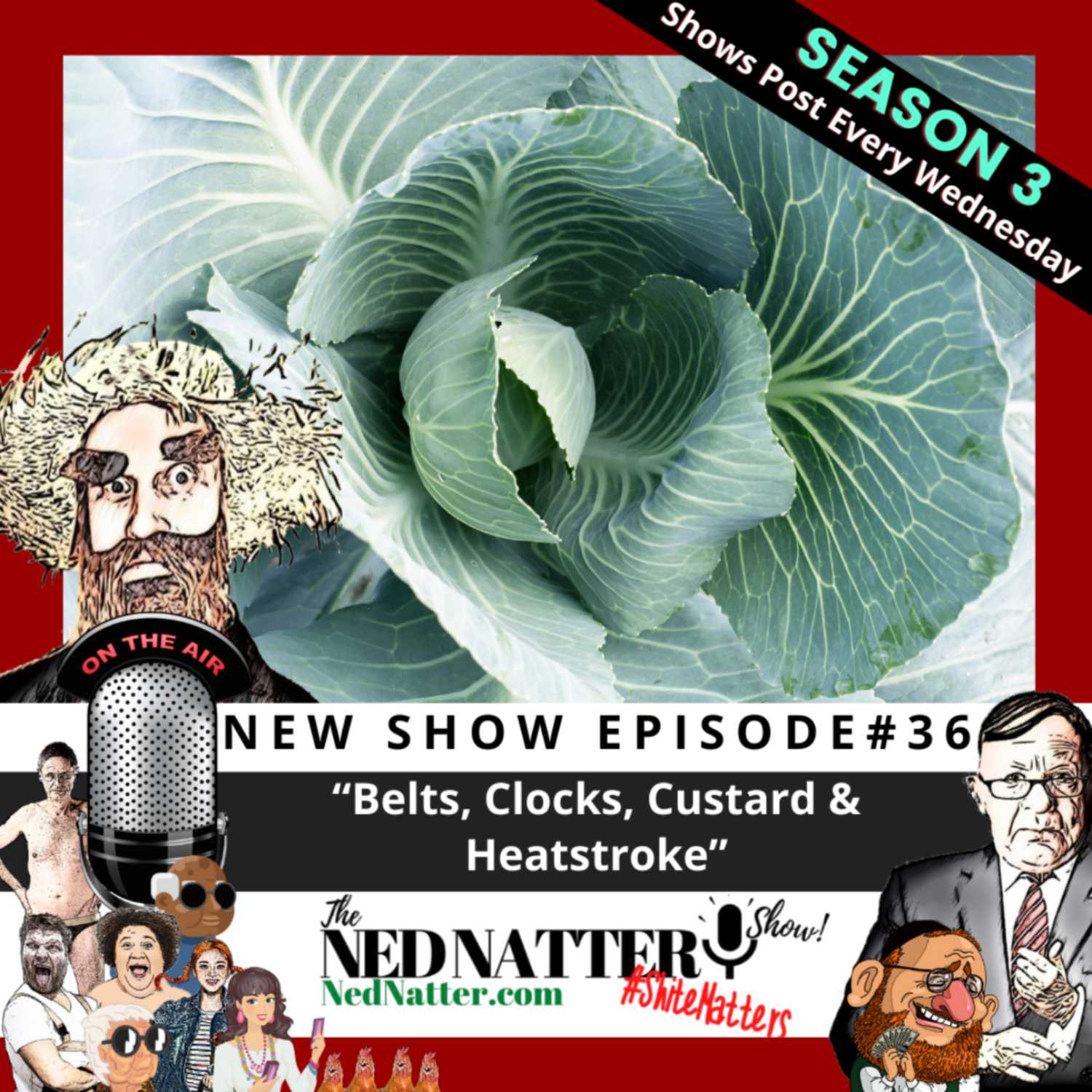 The Ned Natter Show