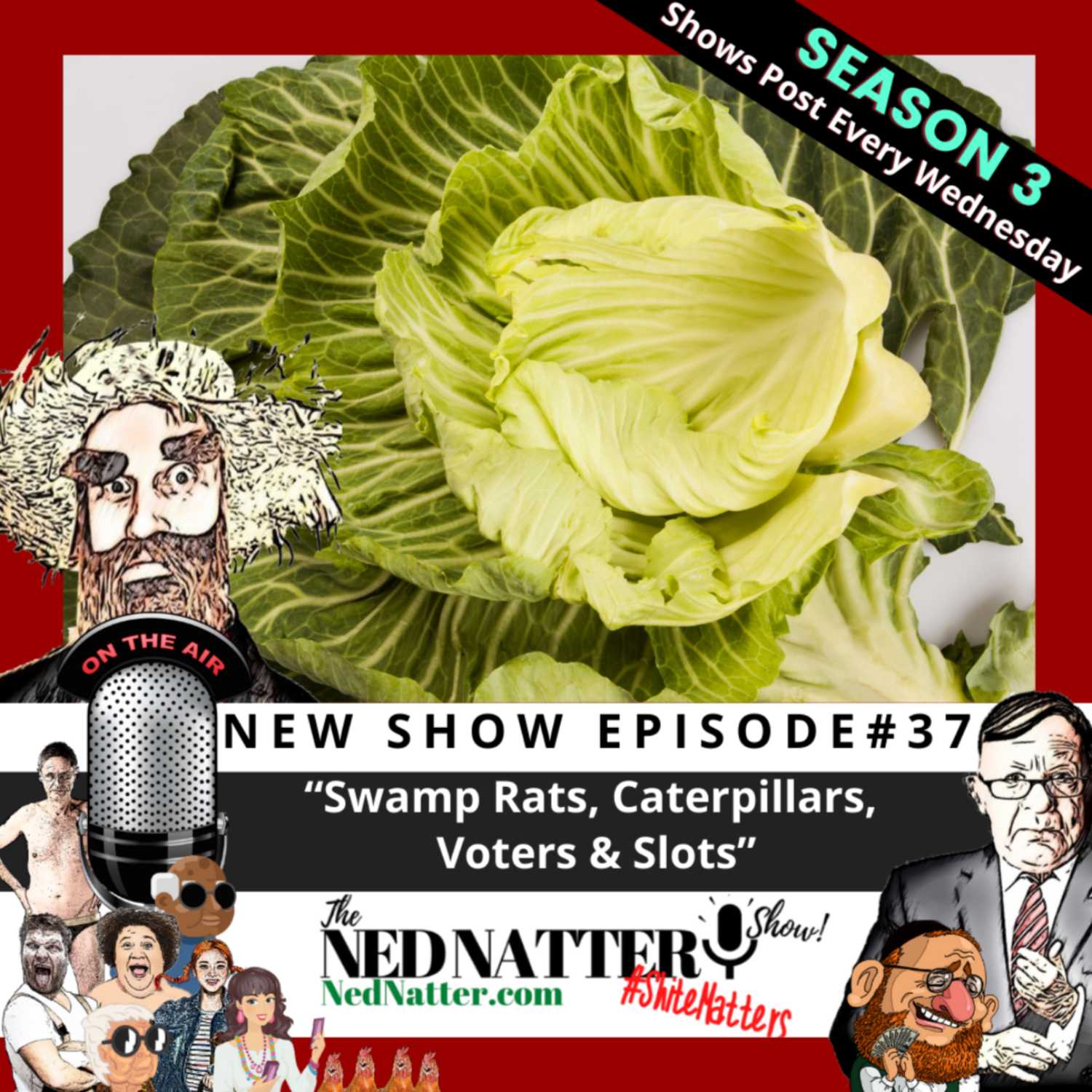 The Ned Natter Show