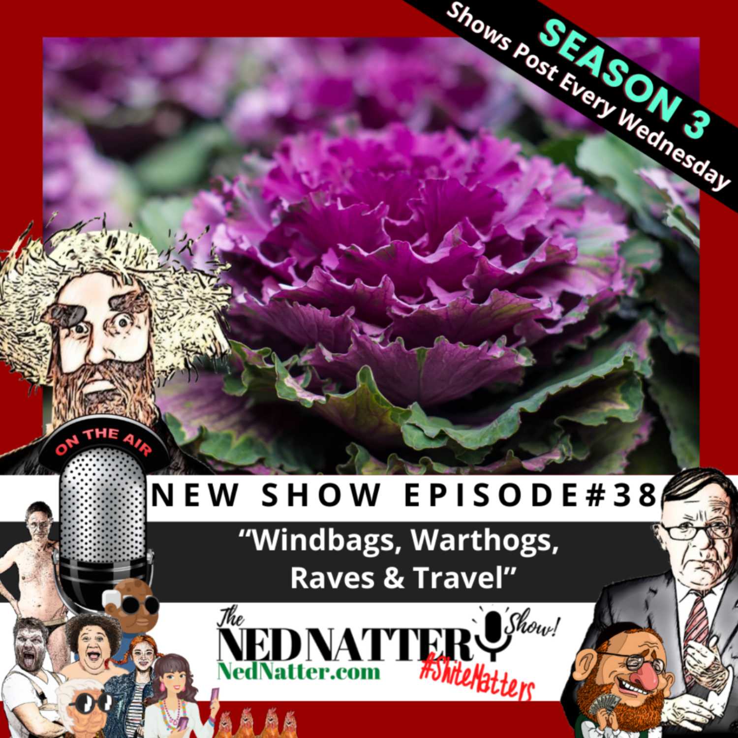 The Ned Natter Show
