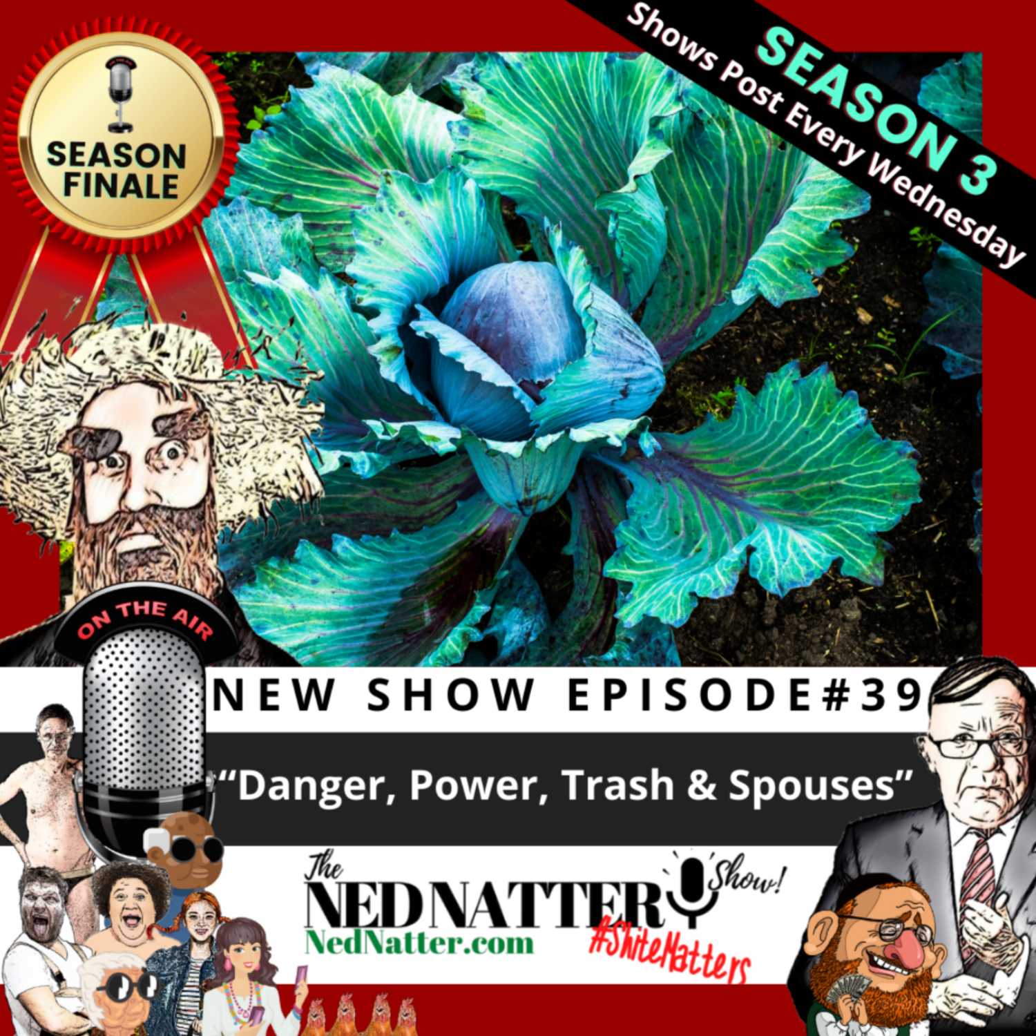The Ned Natter Show