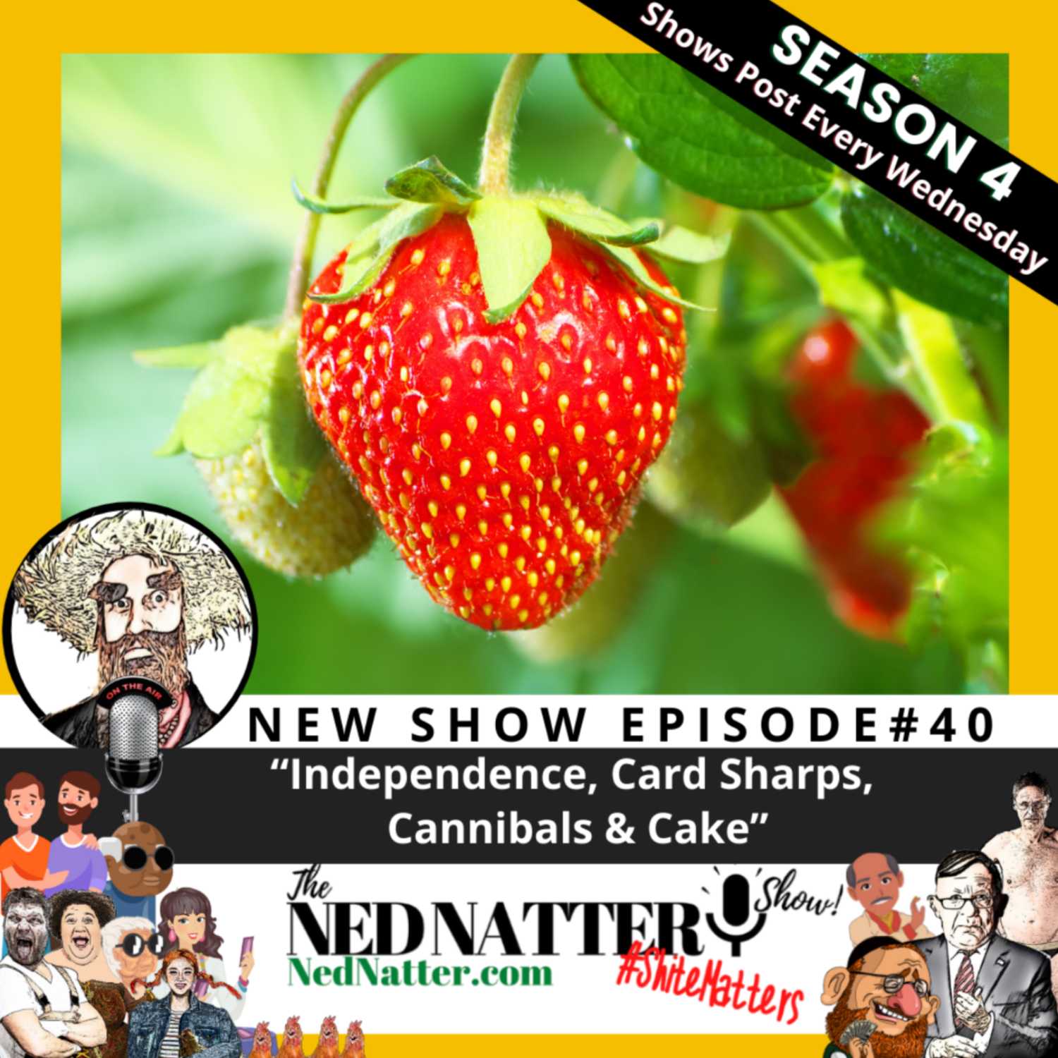 The Ned Natter Show