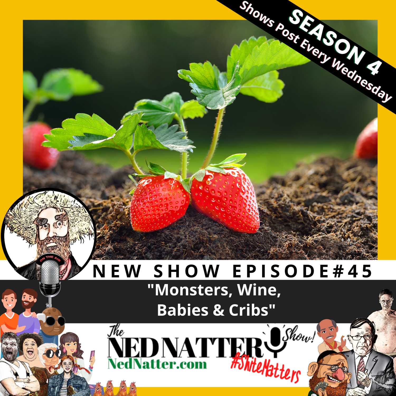 The Ned Natter Show