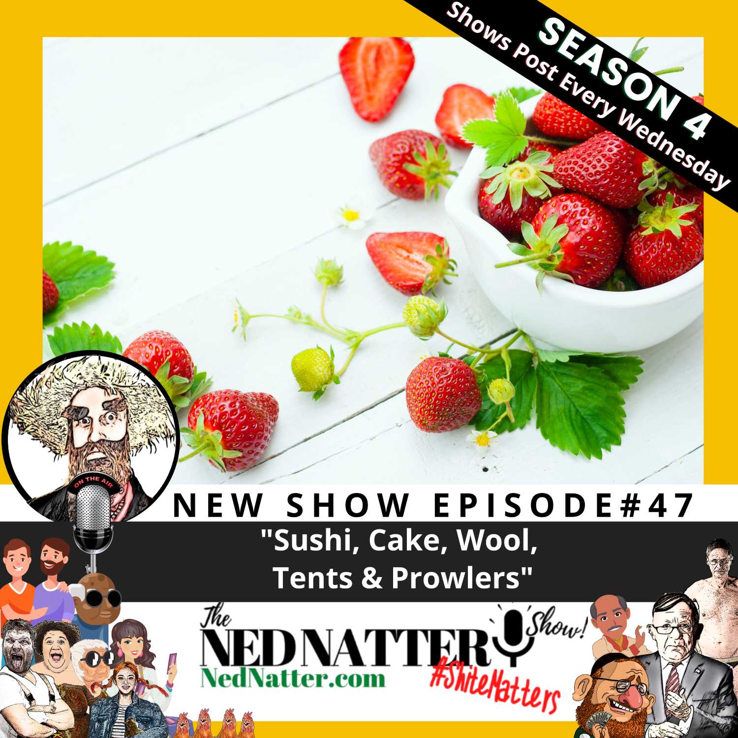 The Ned Natter Show
