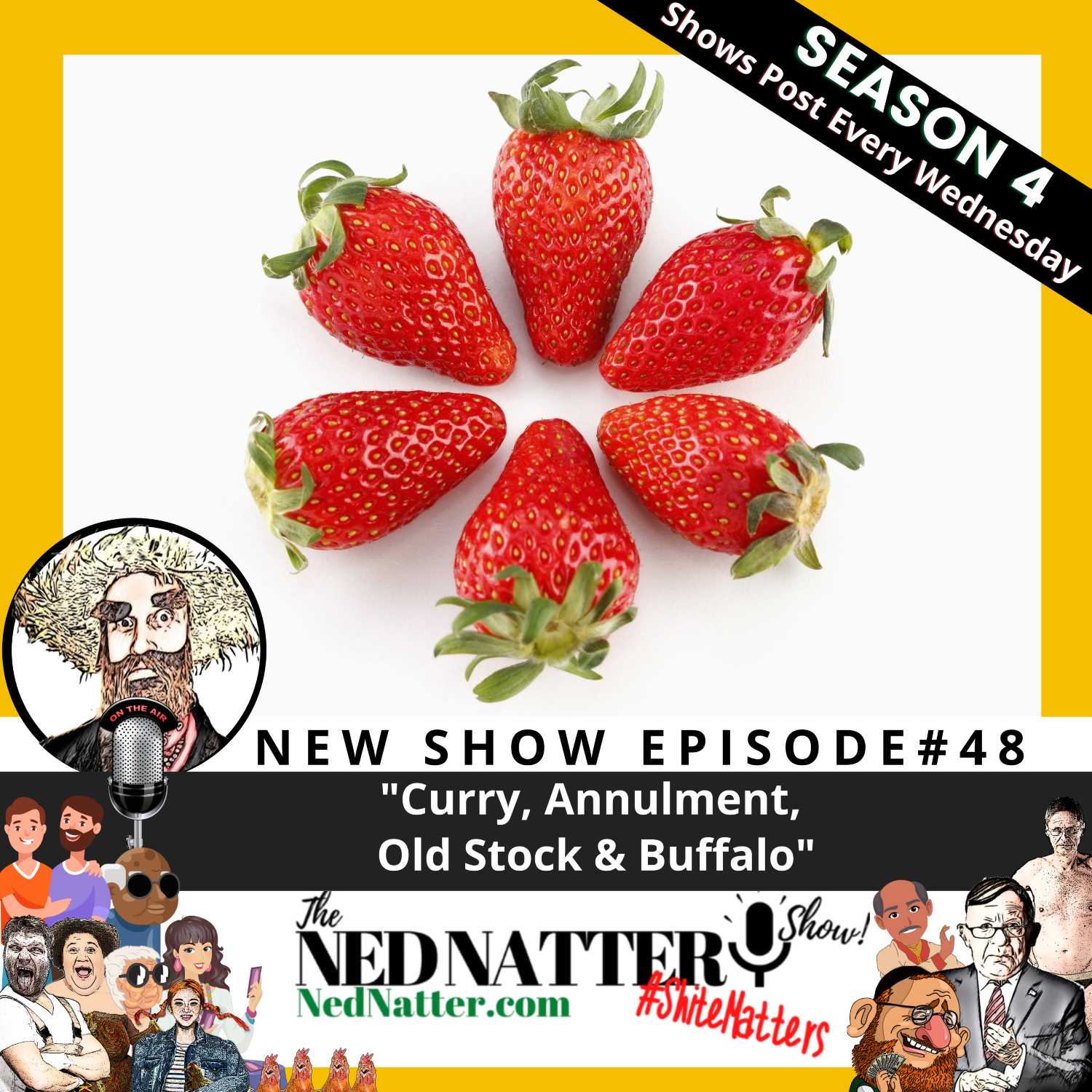 The Ned Natter Show