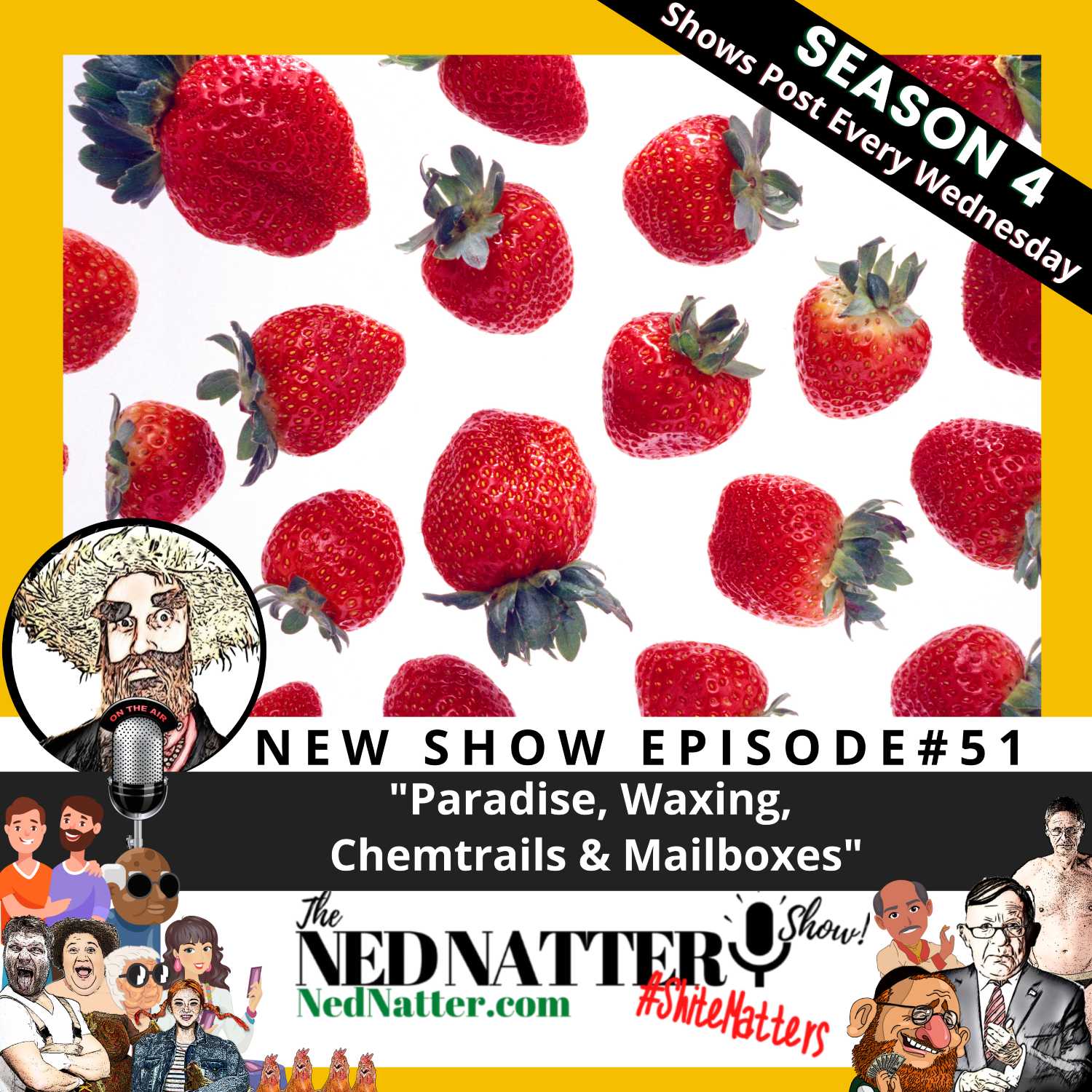The Ned Natter Show