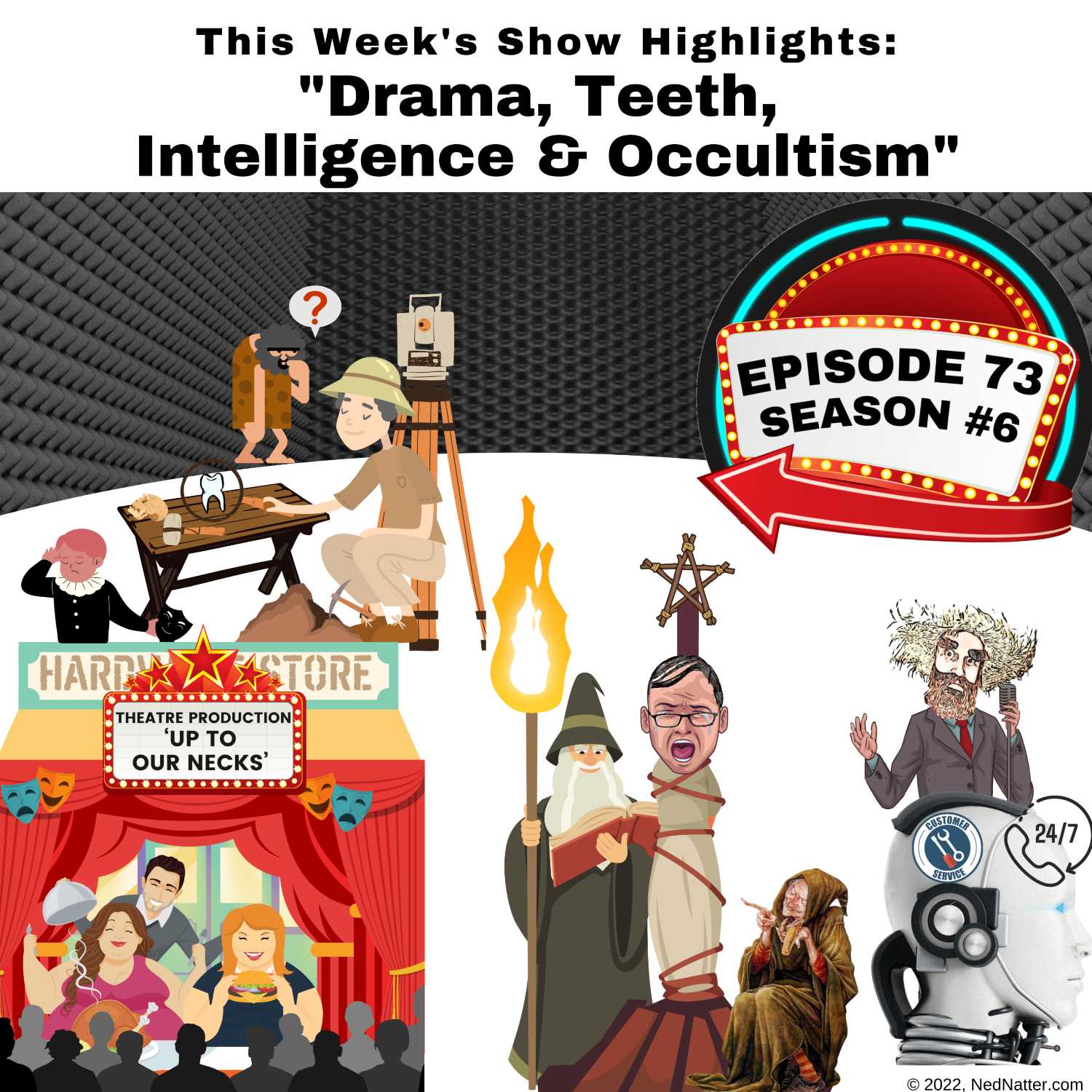 The Ned Natter Show