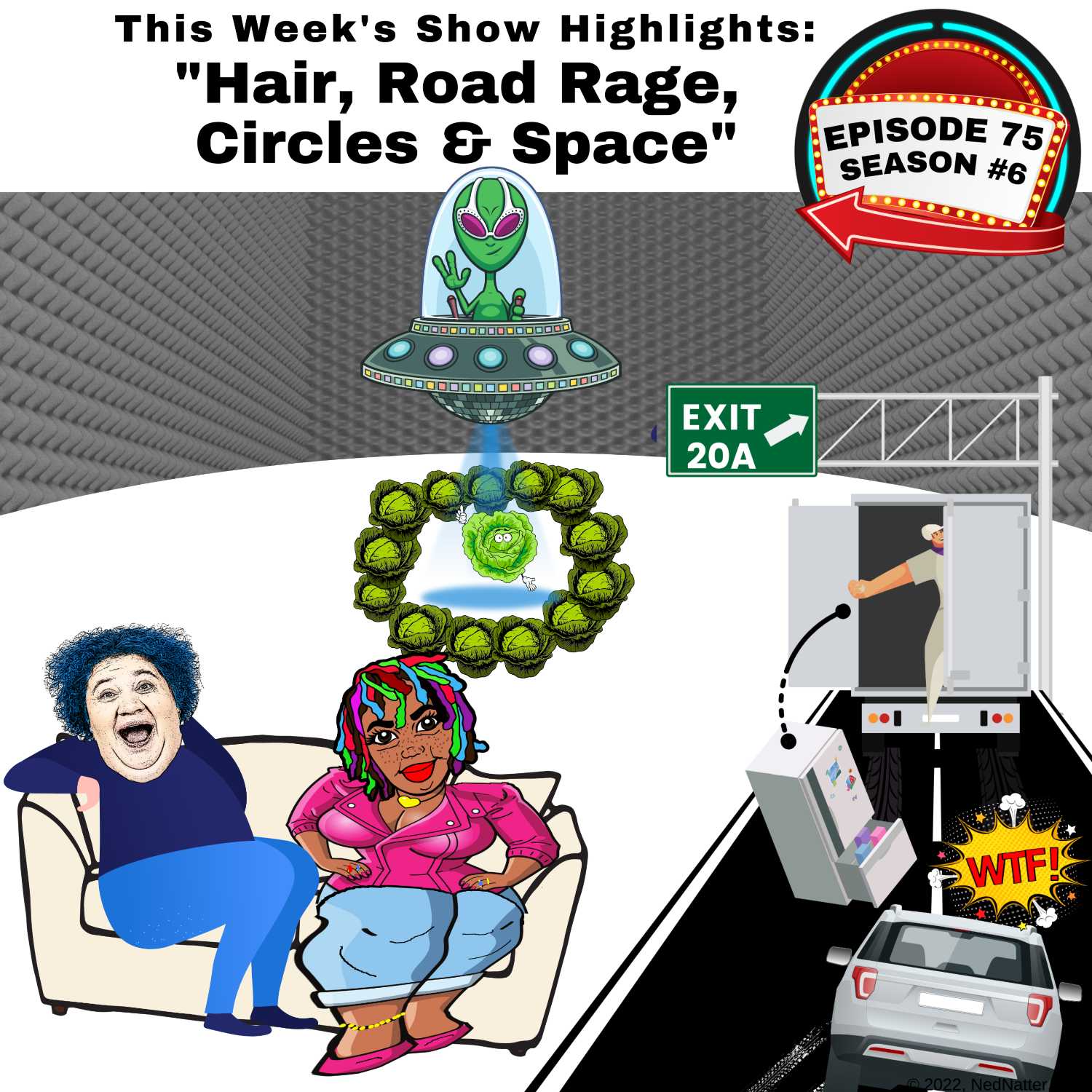 The Ned Natter Show
